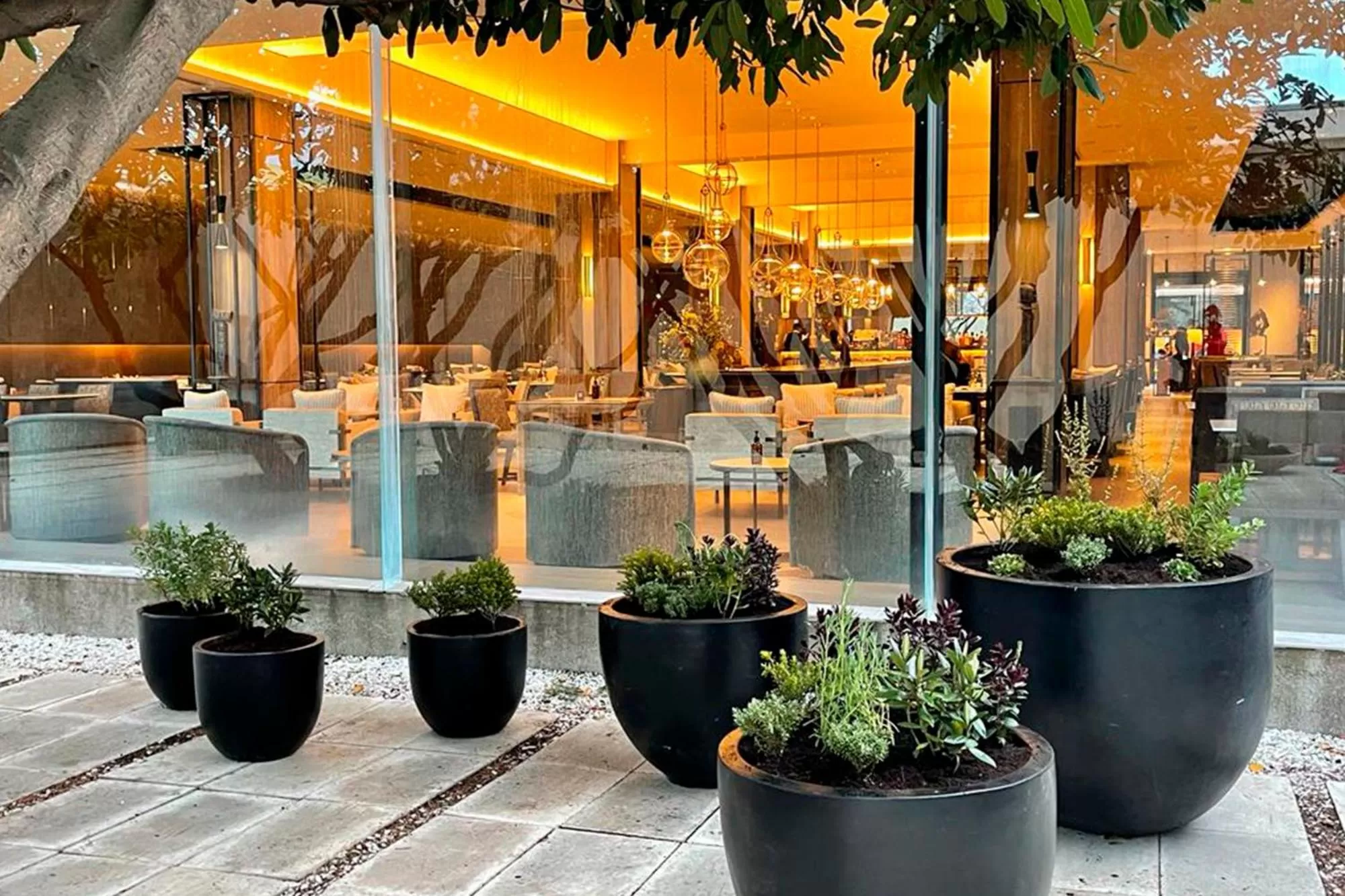 Patio in Hotel Cabo De Hornos