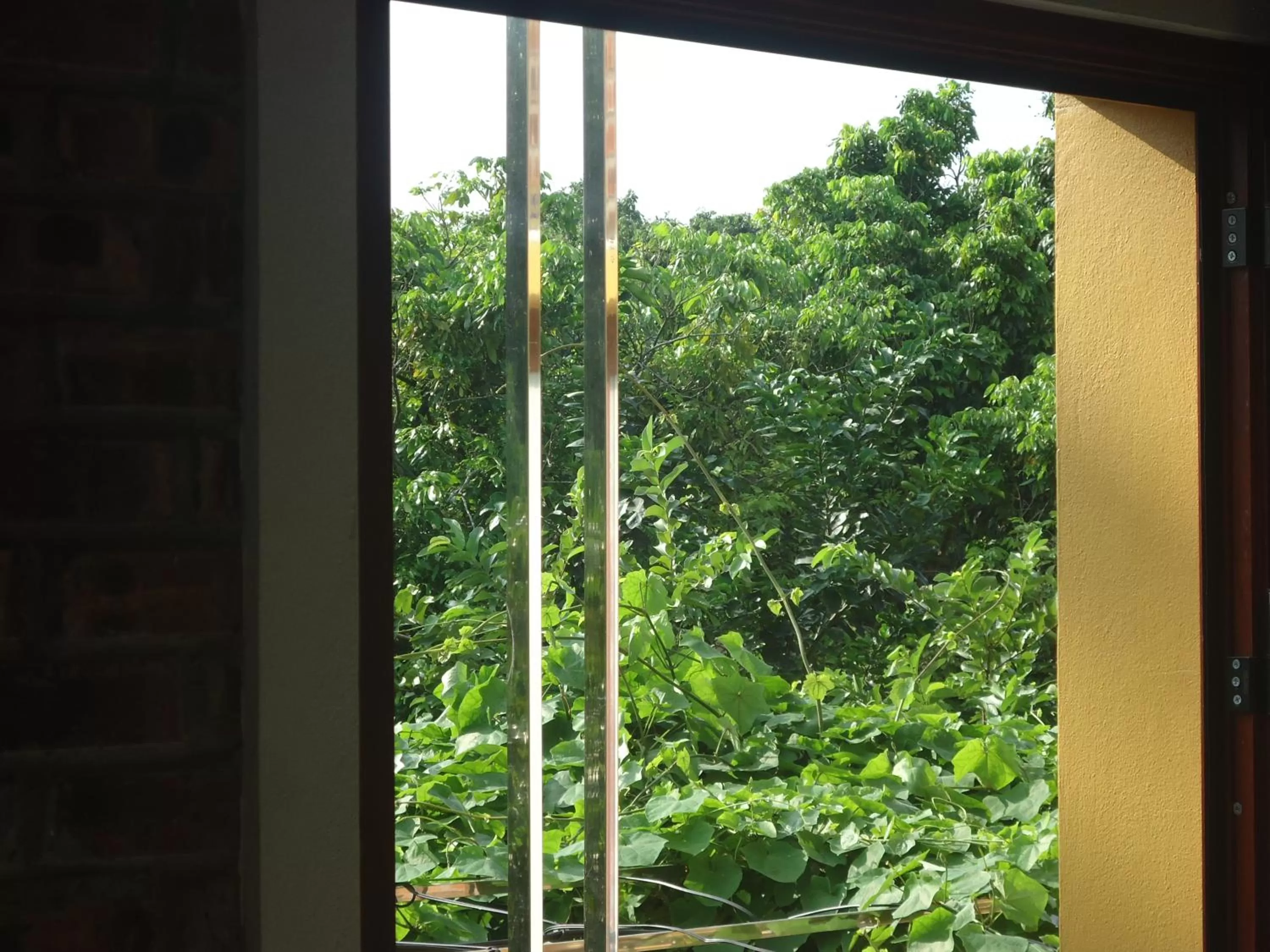 Garden view, View in Green Space Homestay