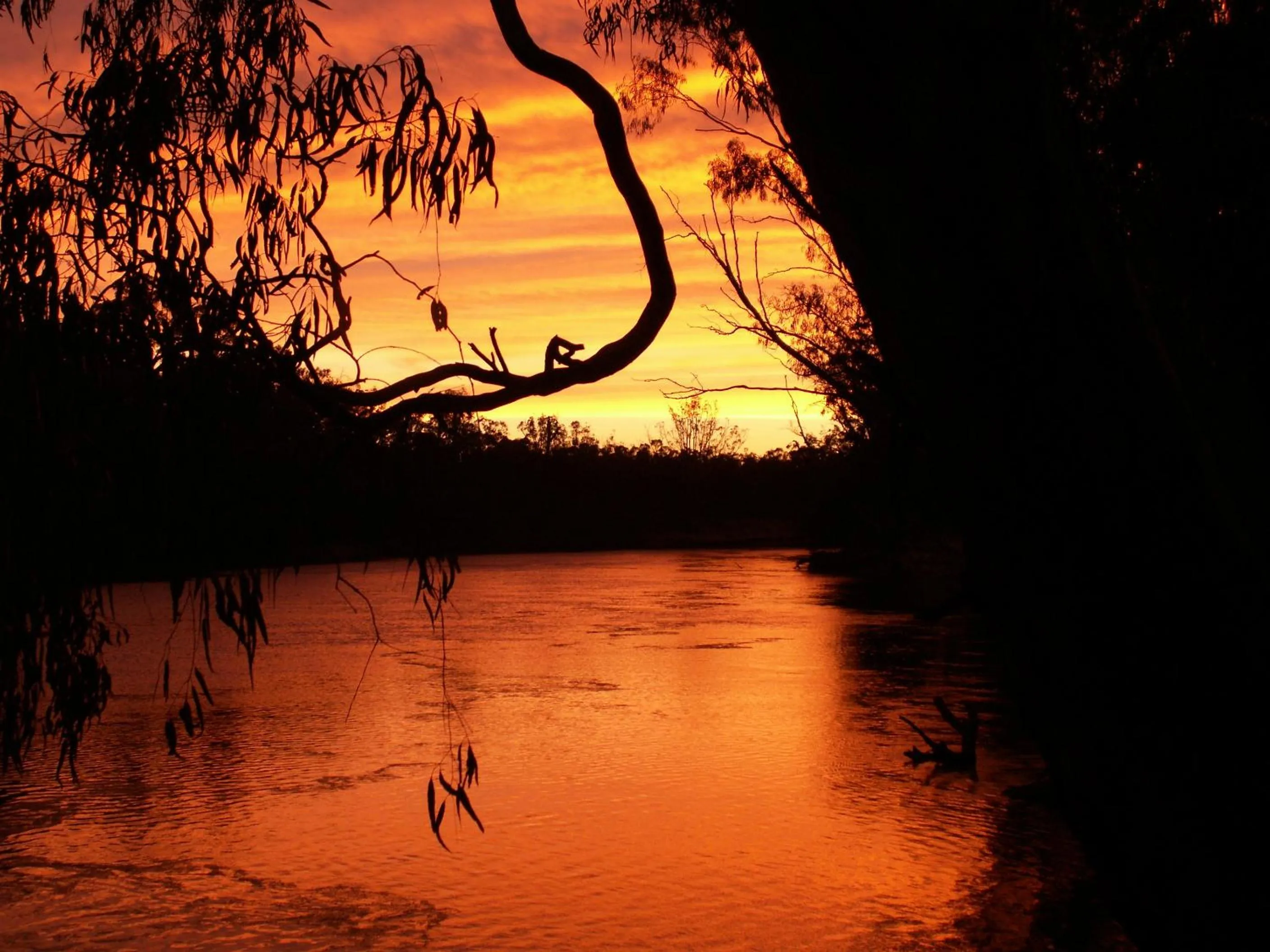 Natural landscape in Cadell On The Murray Motel
