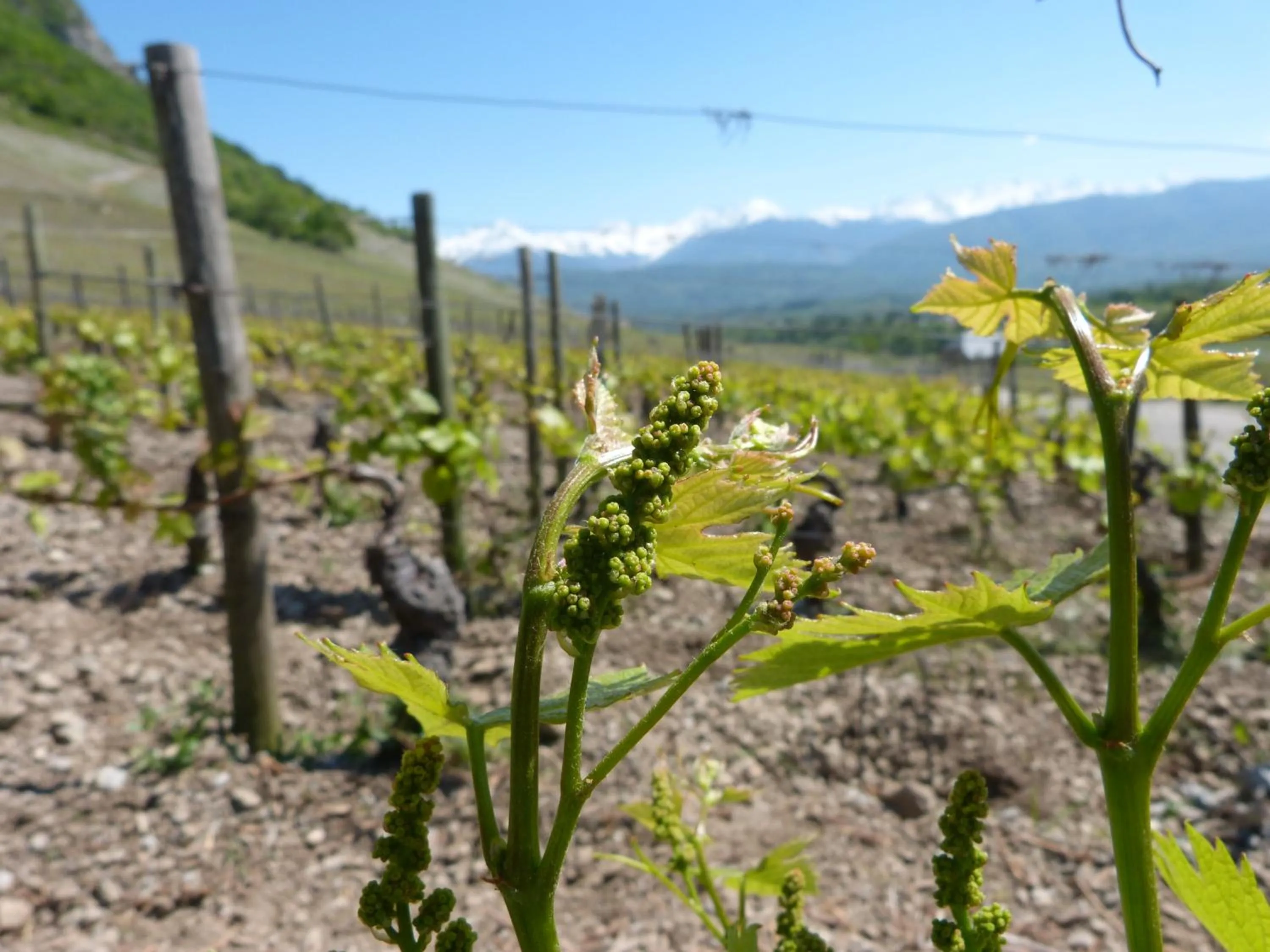 Natural landscape in La Clé Des Champs