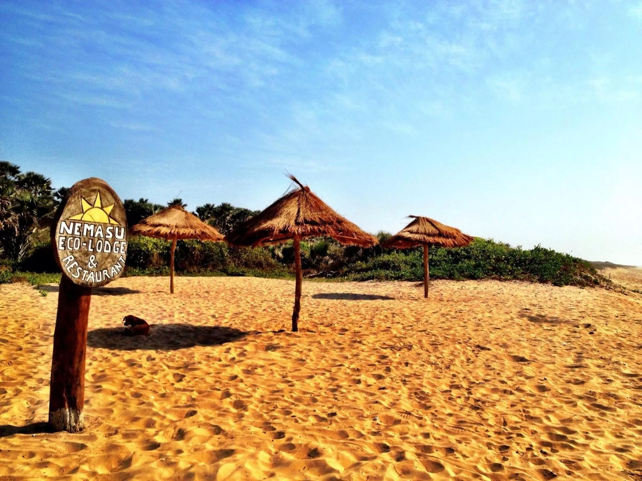 Day in Nemasu Eco-lodge