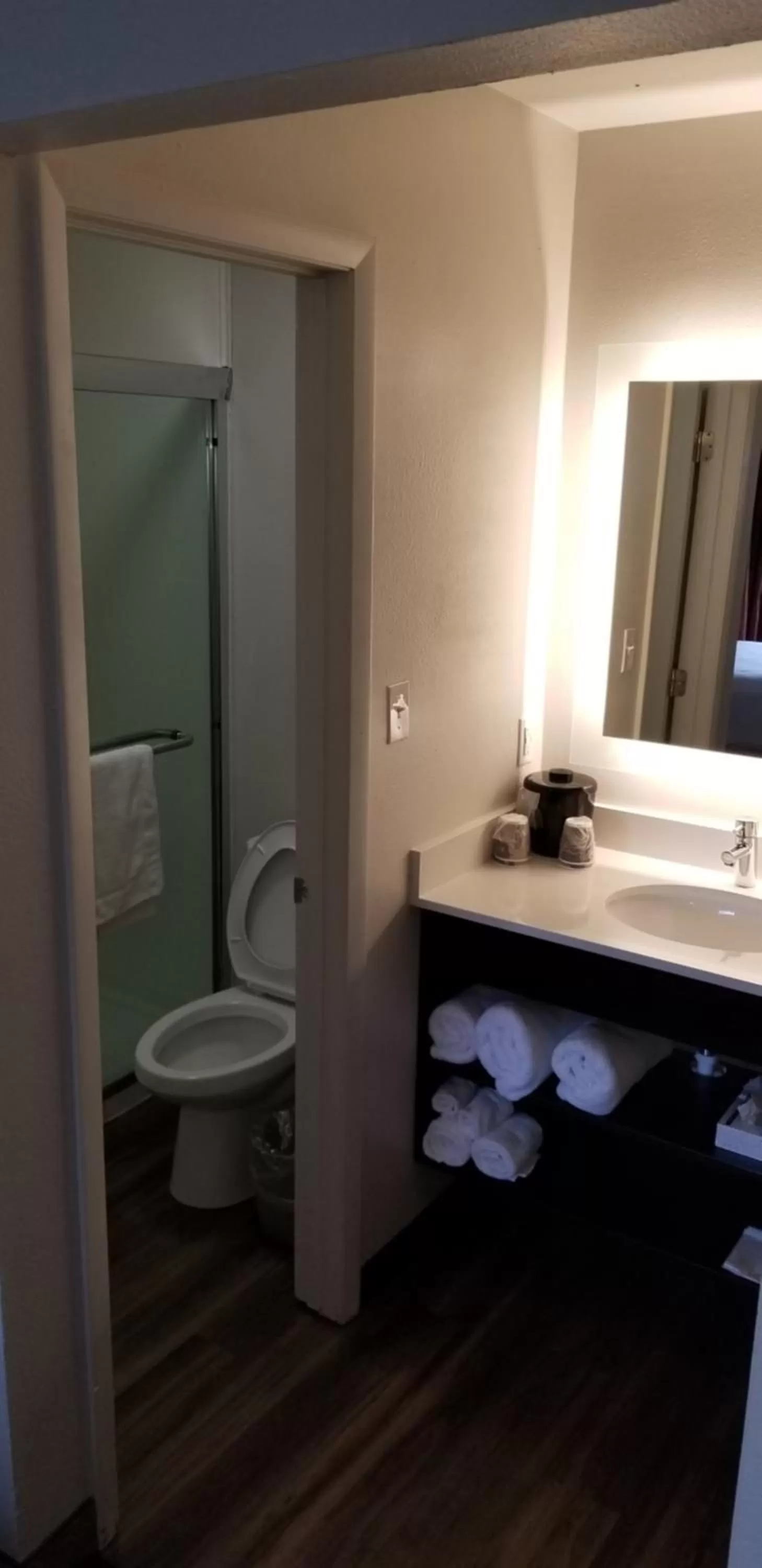 Shower in Hotel South Tampa & Suites