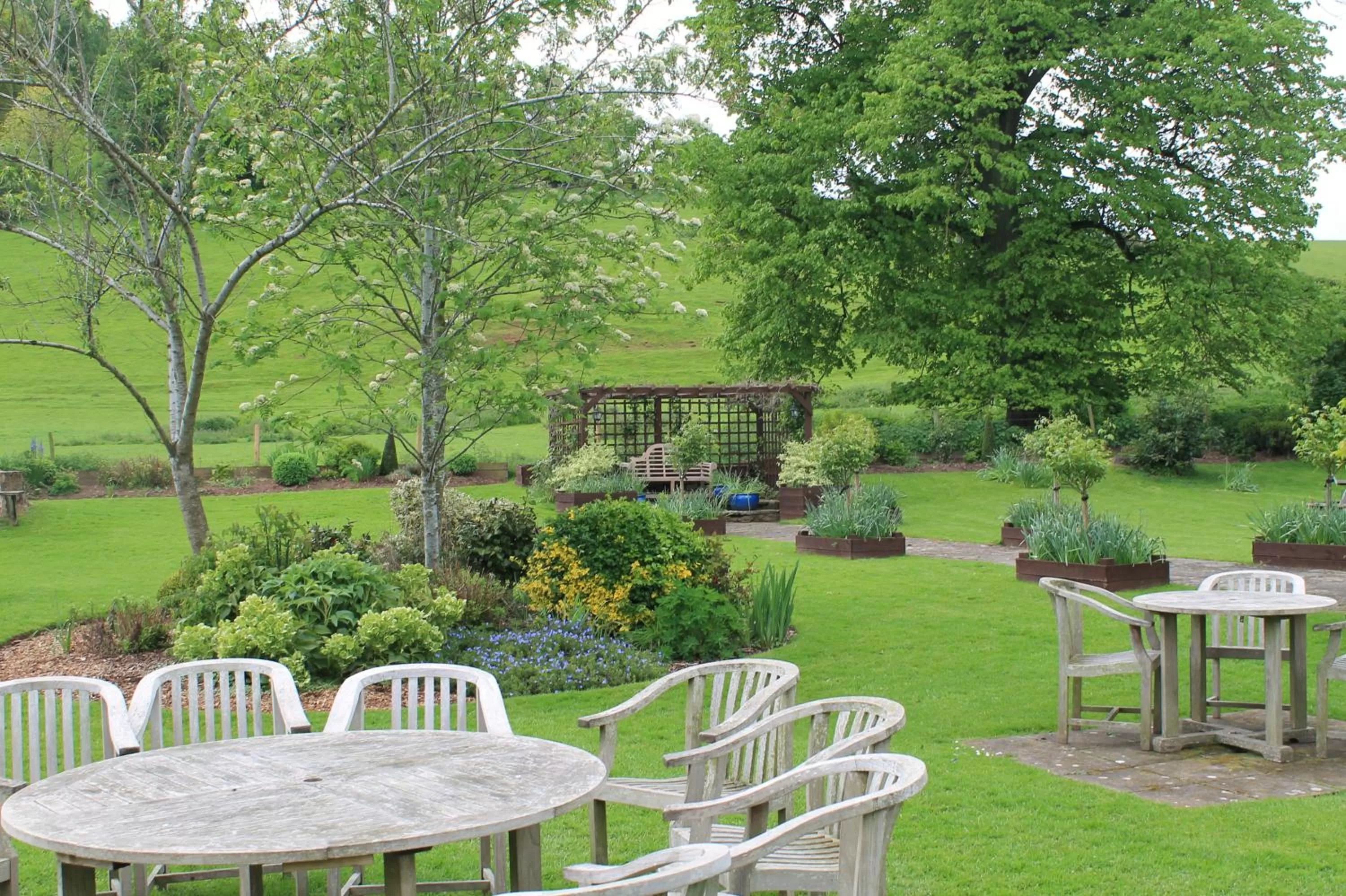 Garden in Old Court Hotel & Apartments