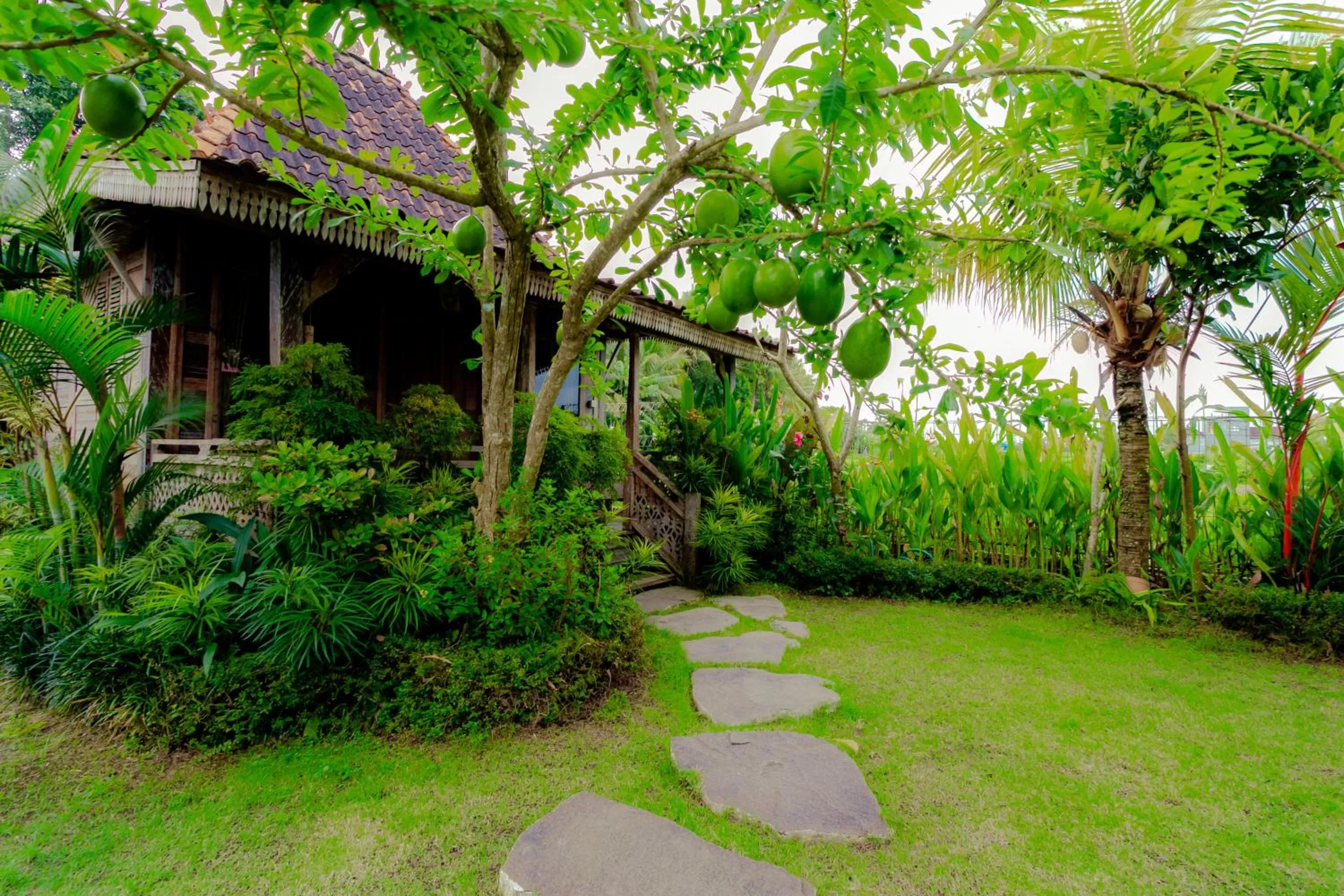 Garden in Nauna Villa Ubud