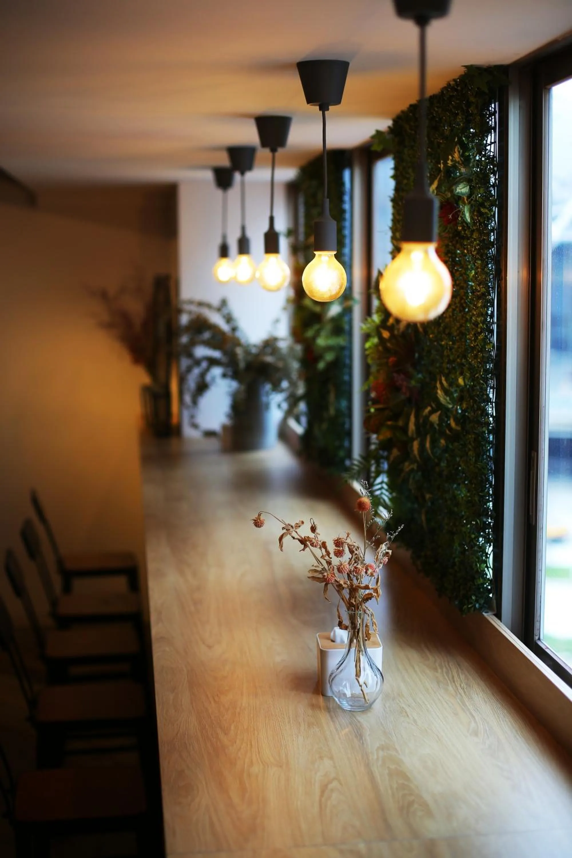 Lounge or bar in Loosha Hostel