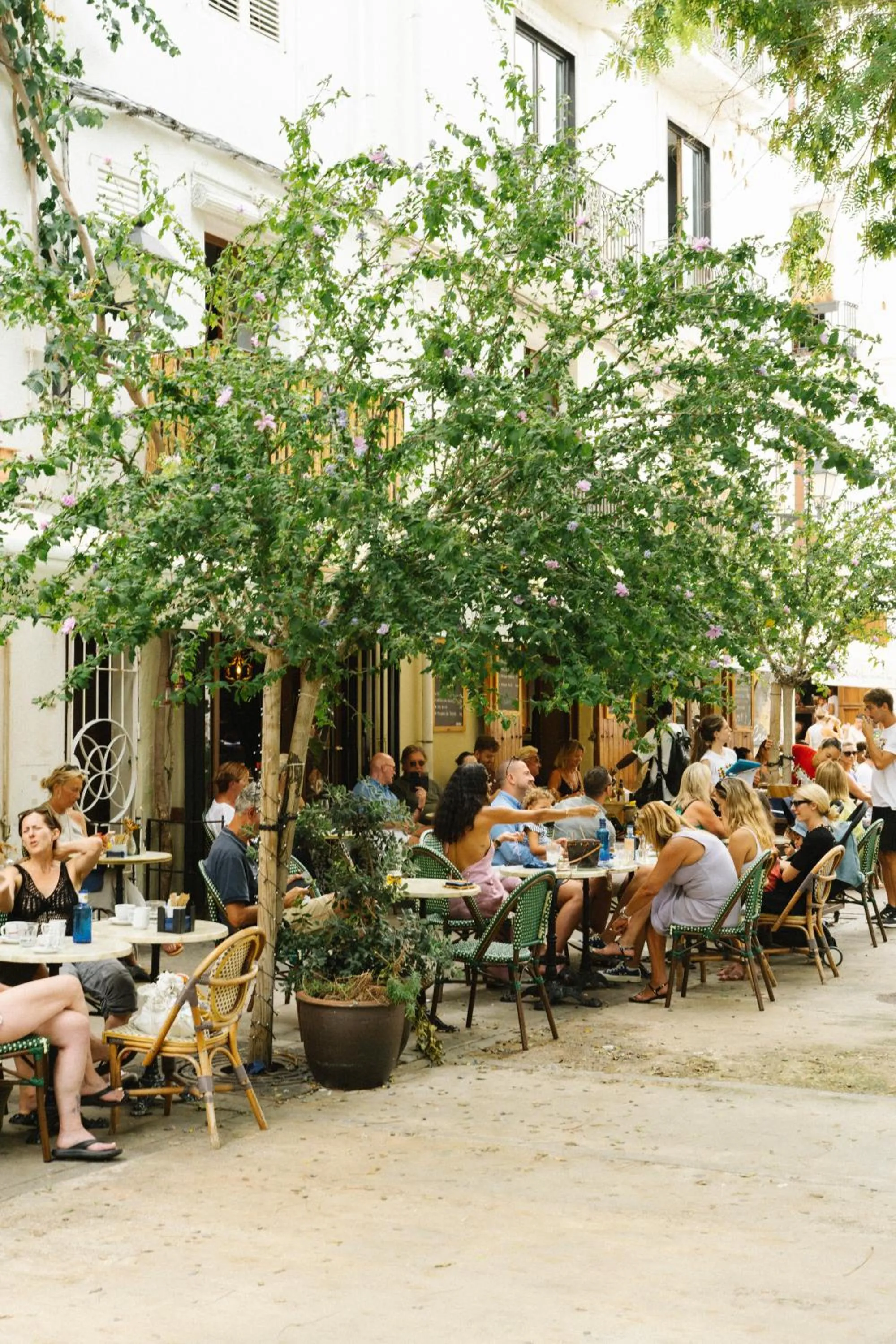 Entertainment in 7Pines Resort Ibiza, part of Destination by Hyatt