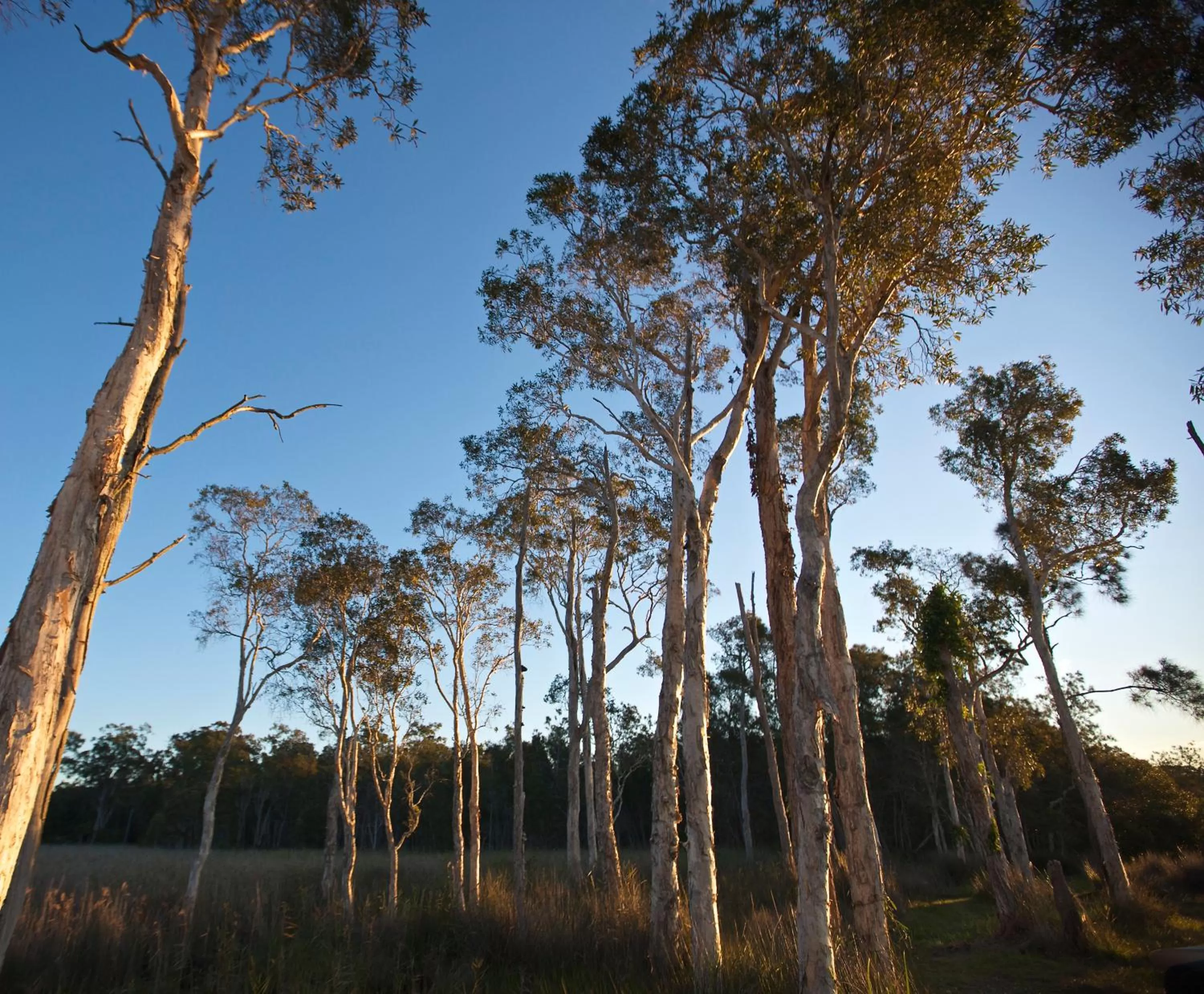 Area and facilities in Lake Weyba Cottages Noosa
