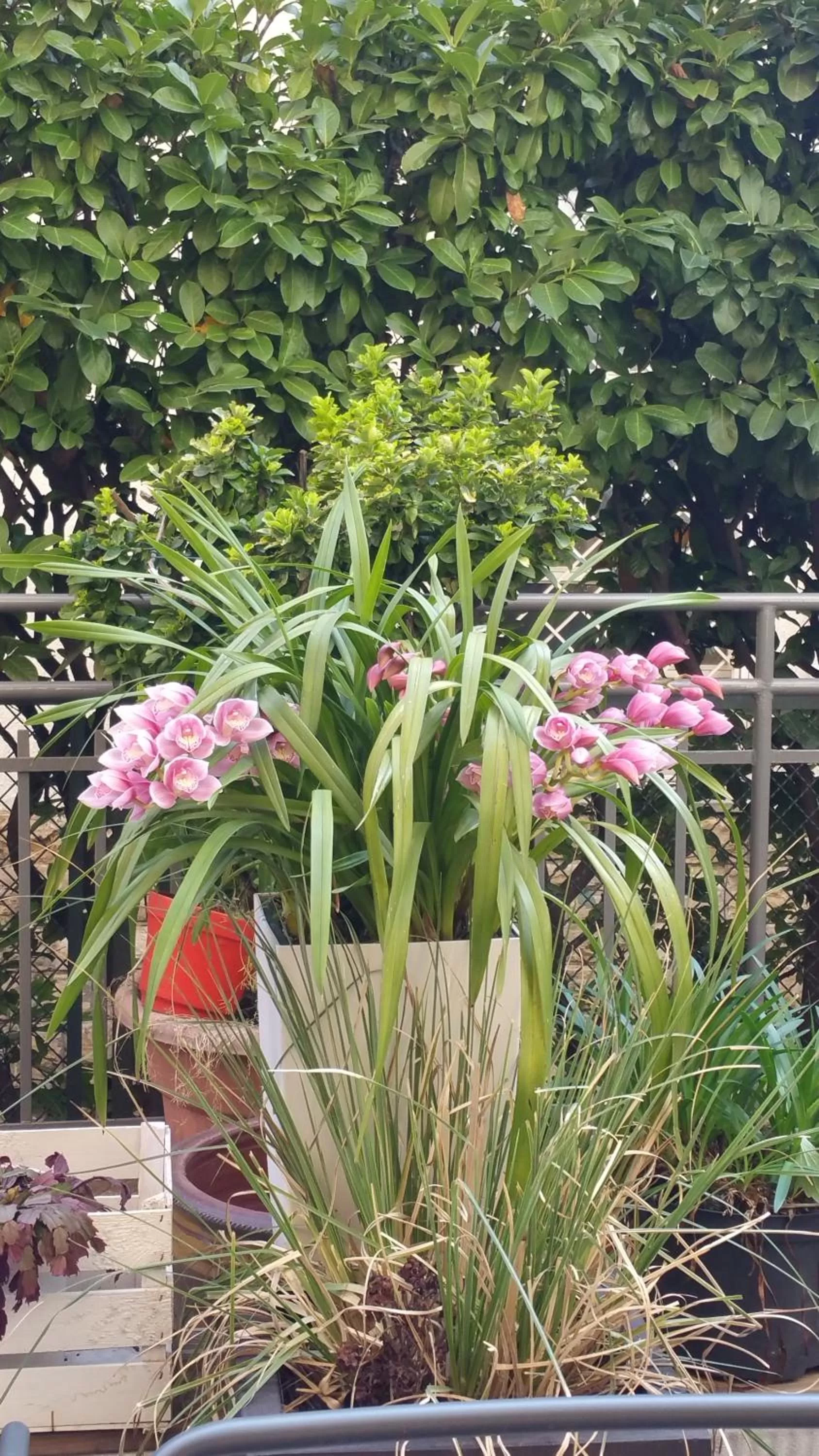 Smart House Rental Rooms FREE PARKING