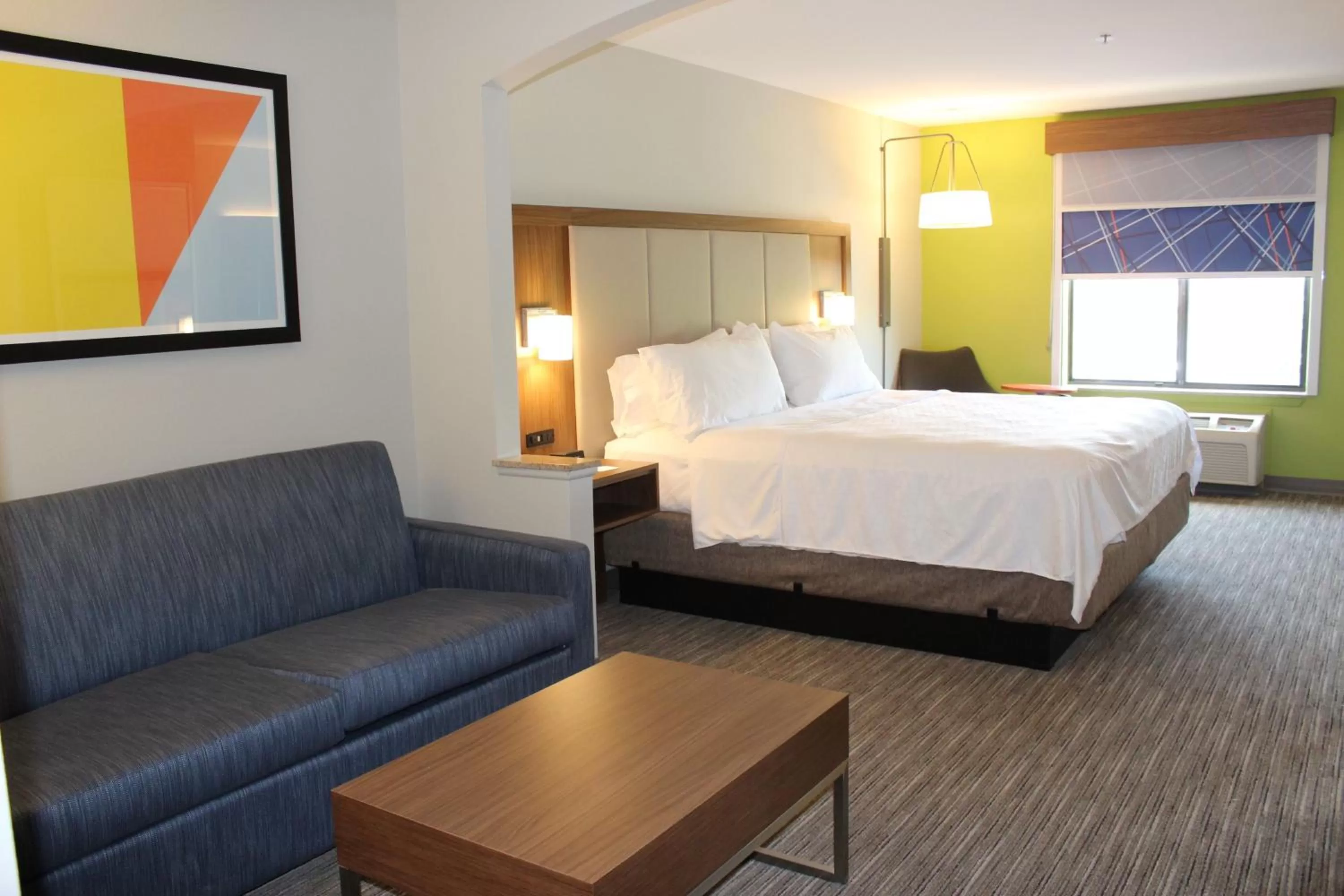 Queen Studio - Disability Access in Holiday Inn Express Forest City by IHG