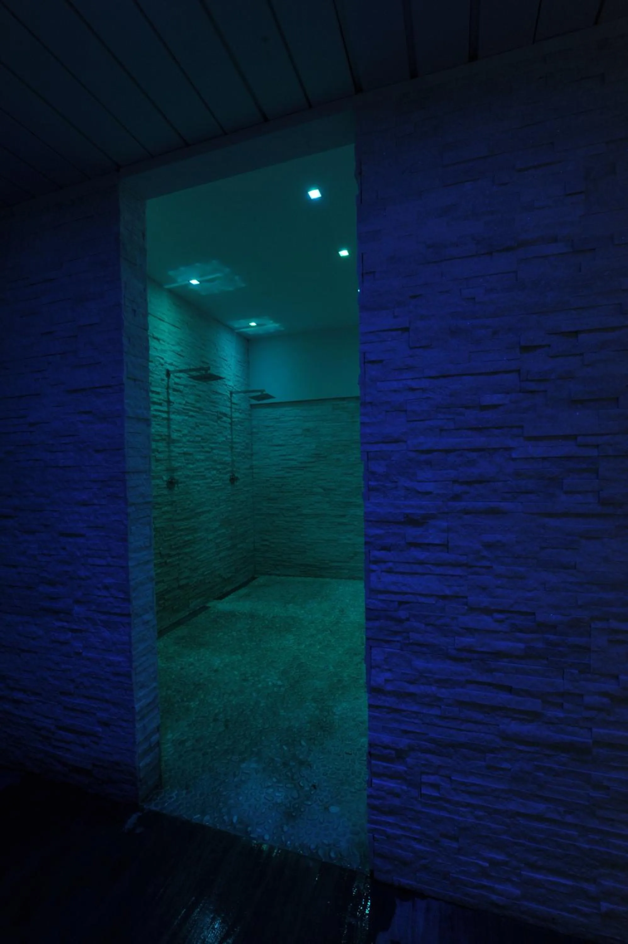 Steam room in Hotel Salus Terme - Adults Only