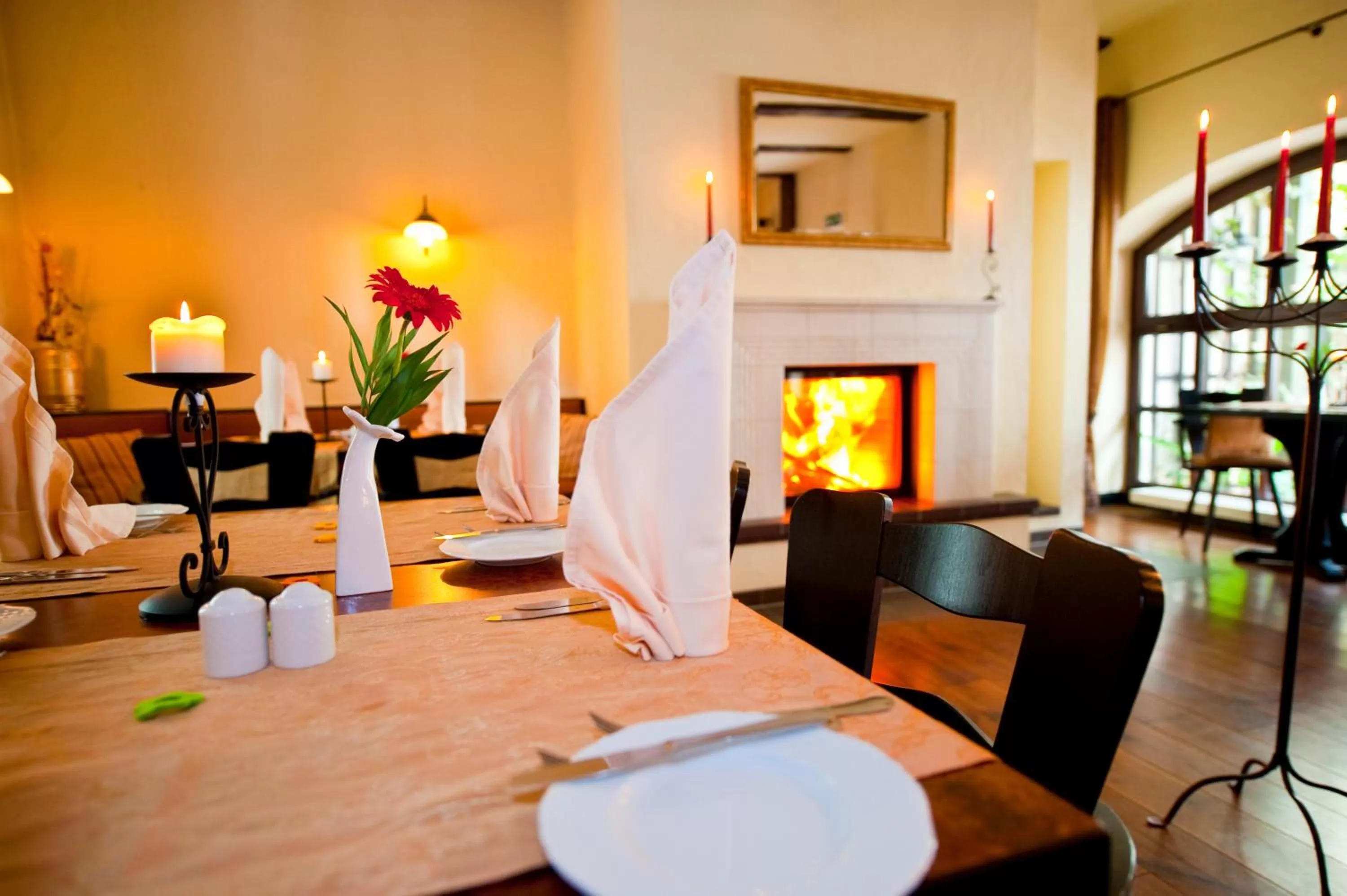 Restaurant/places to eat in Hotel Wellness Goldenes Fass Meißen