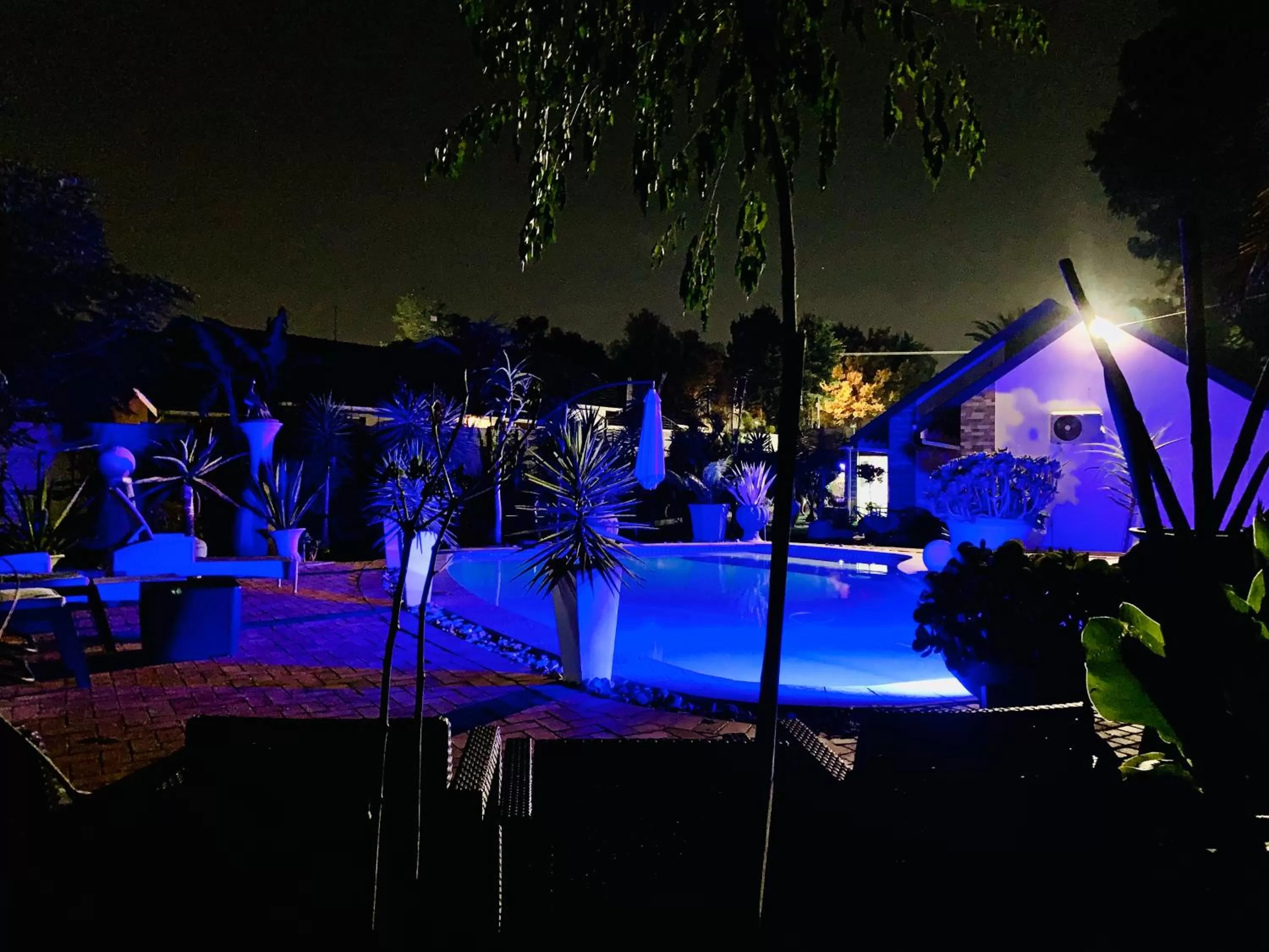 Swimming Pool in 24 On Basil Inventive suites