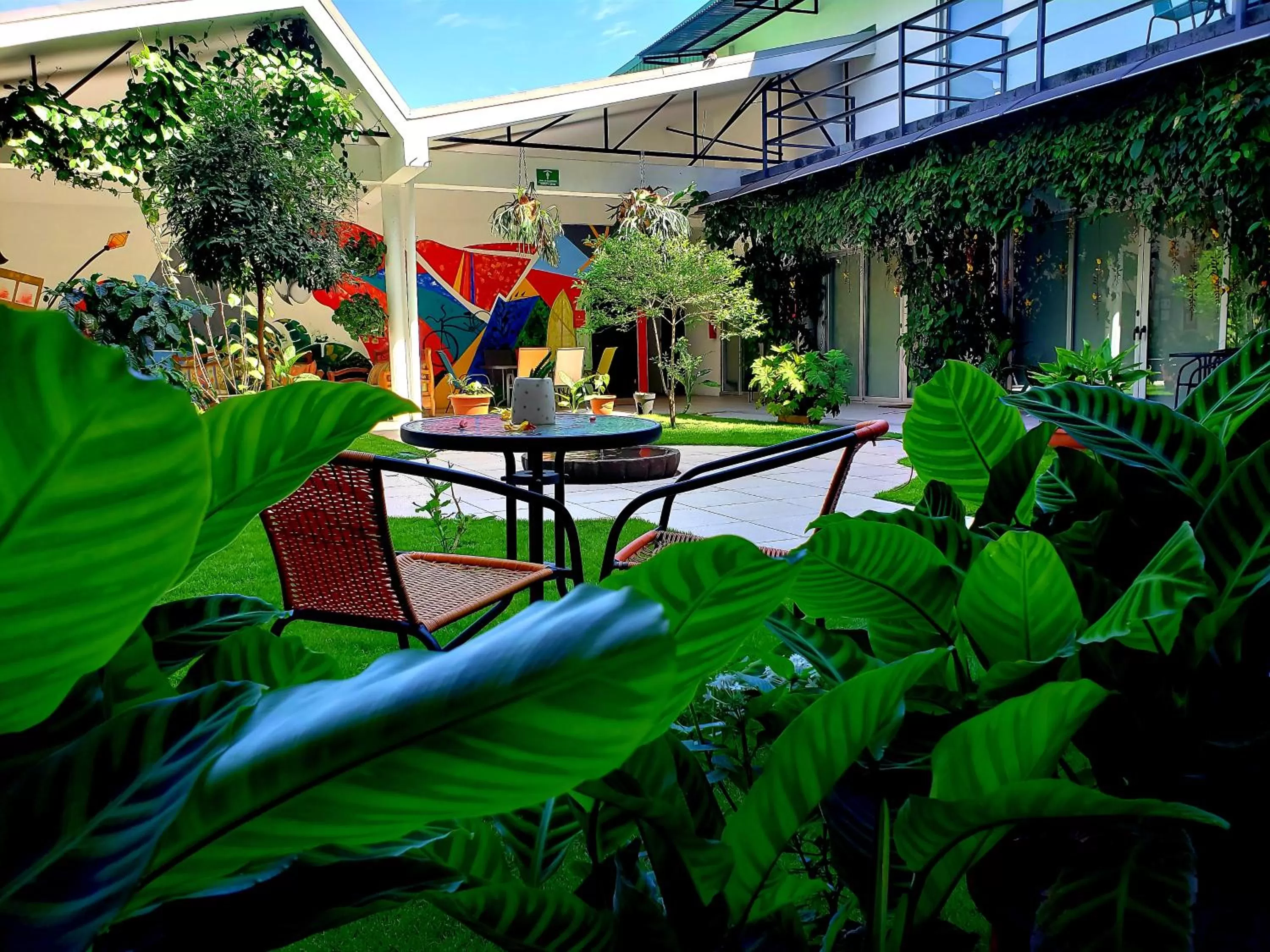 Inner courtyard view in Cando Living Apartments in Central Avenue