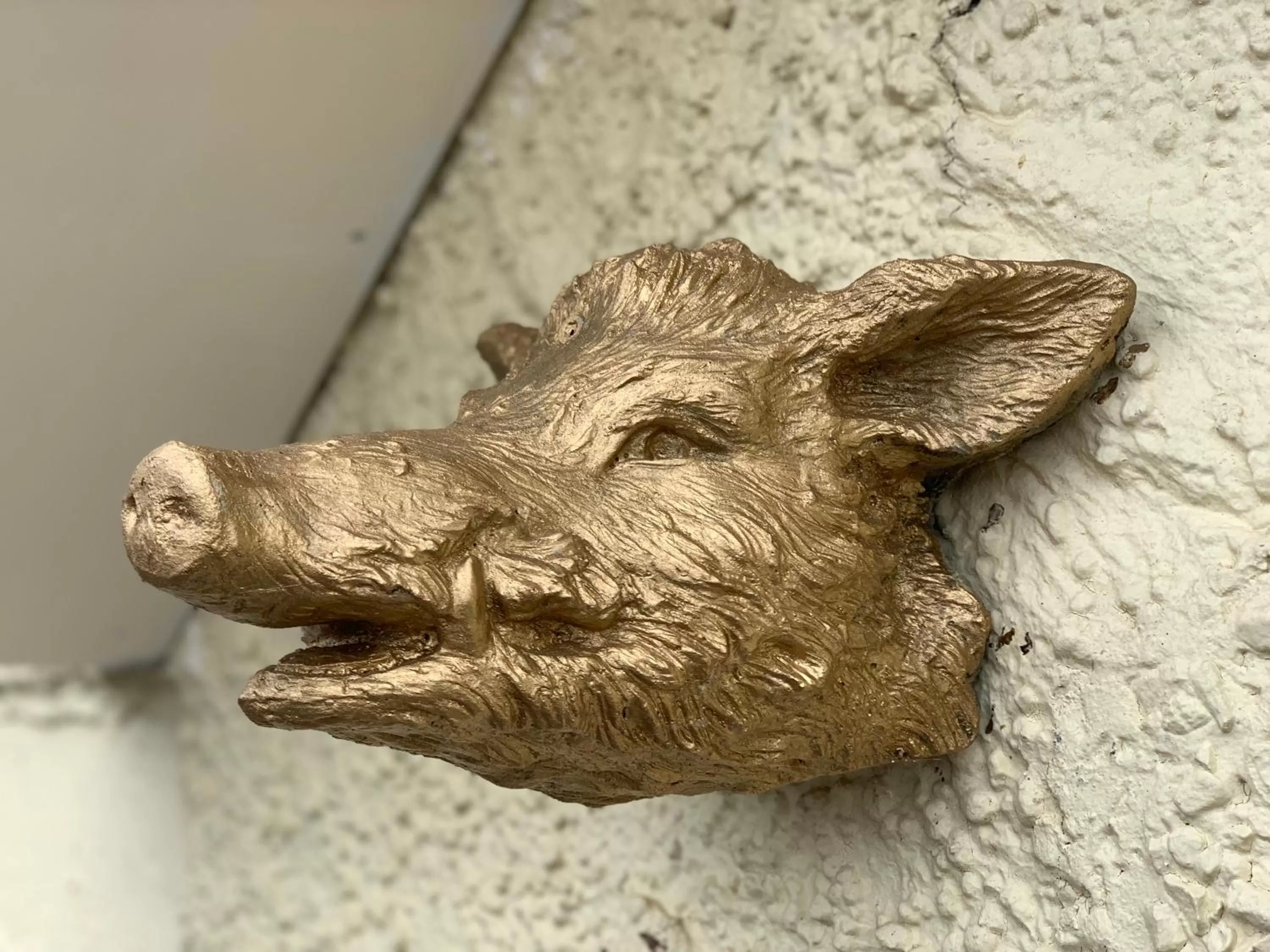 Boars Head Boutique Hotel