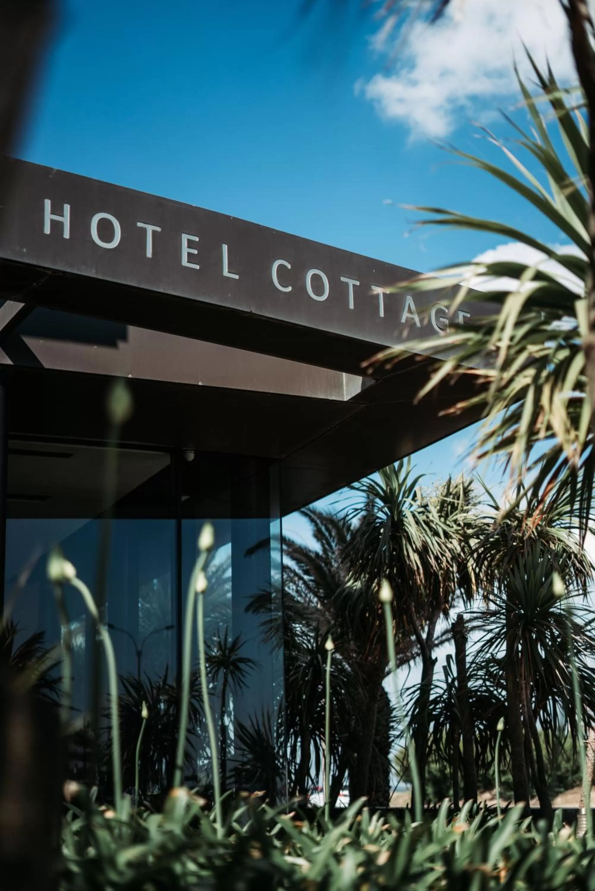 Off site in Cottage Carrasco