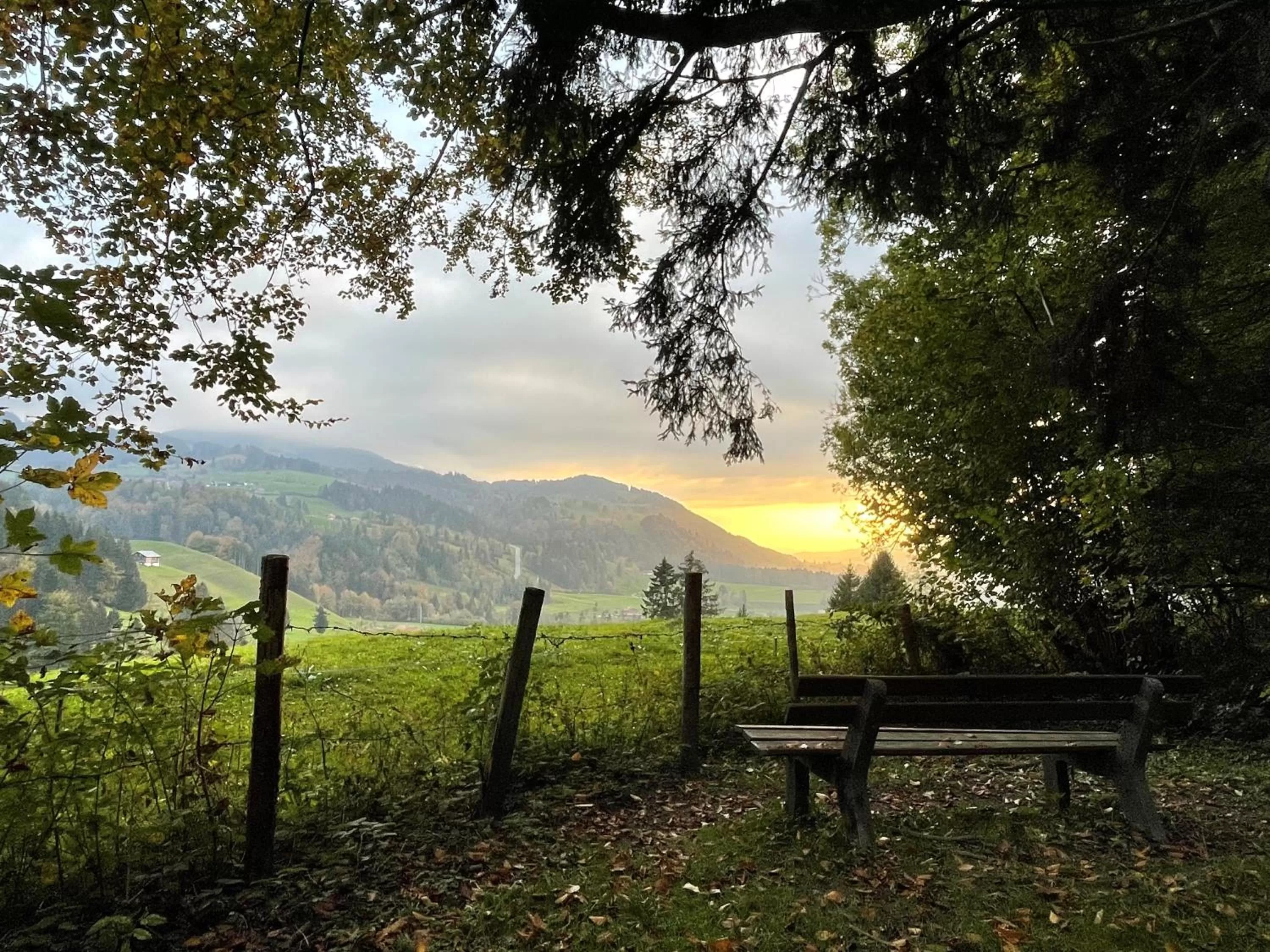 Staff in Parkhotel Oberstaufen