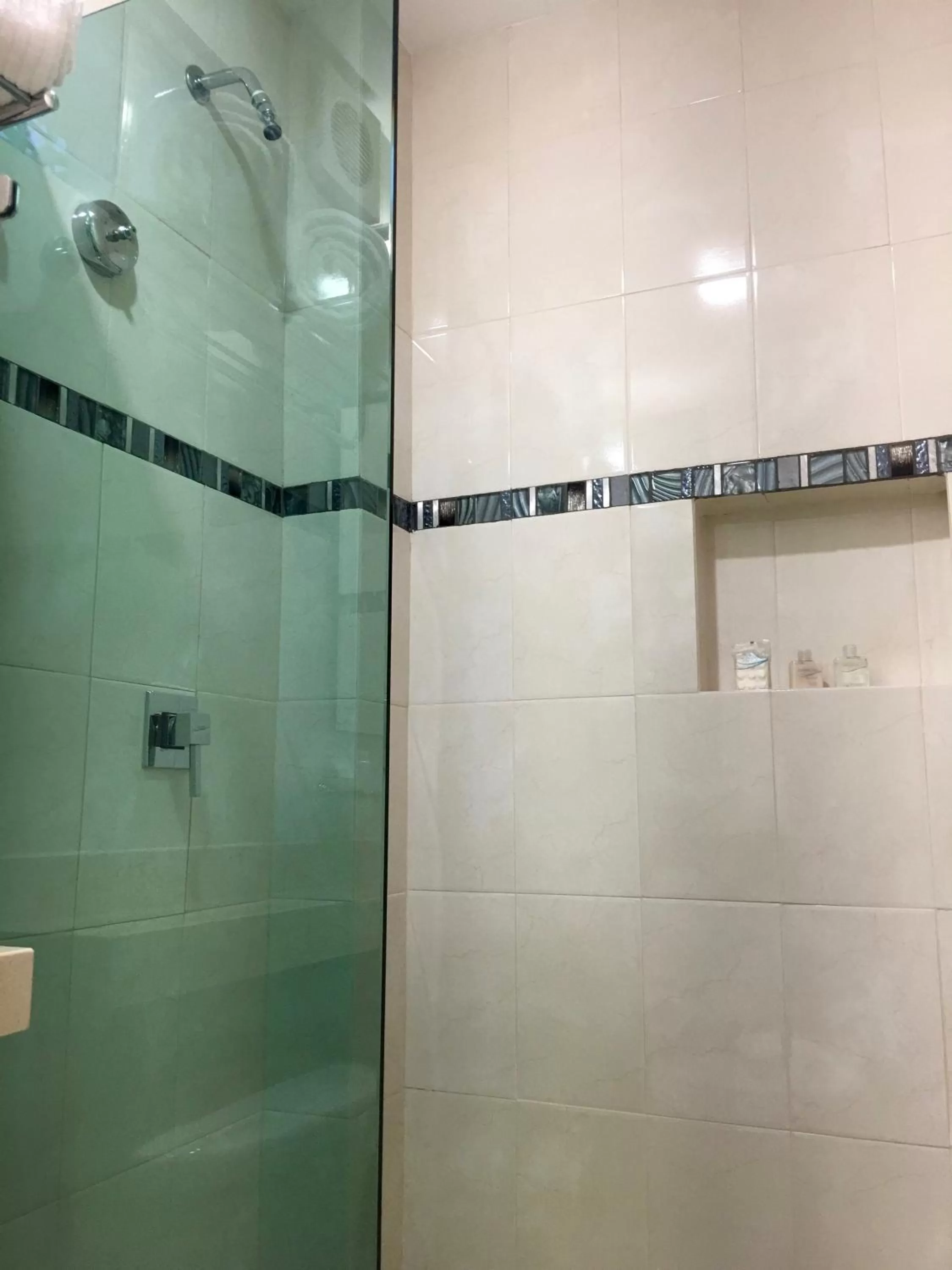 Shower in Herbal Inn Suites