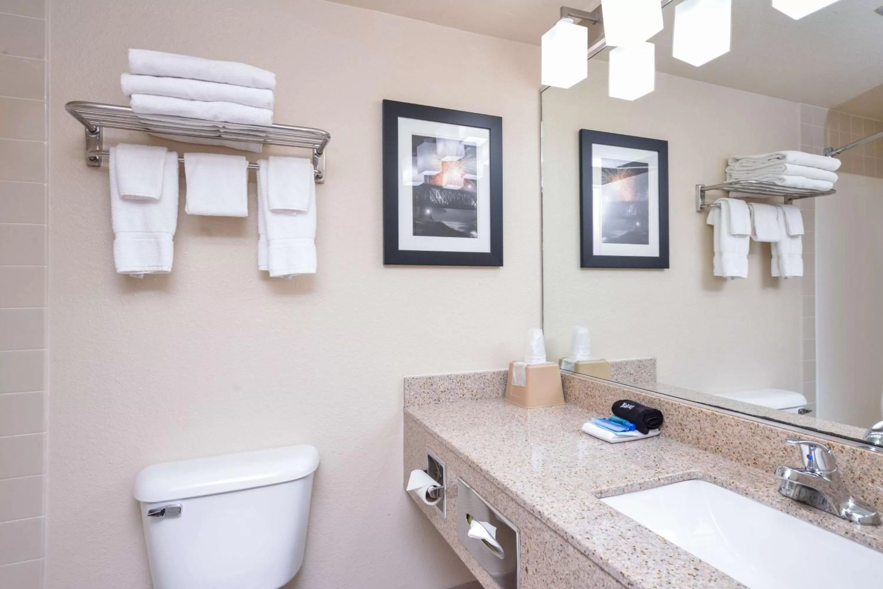 Bathroom in Best Western Kelly Inn - Yankton
