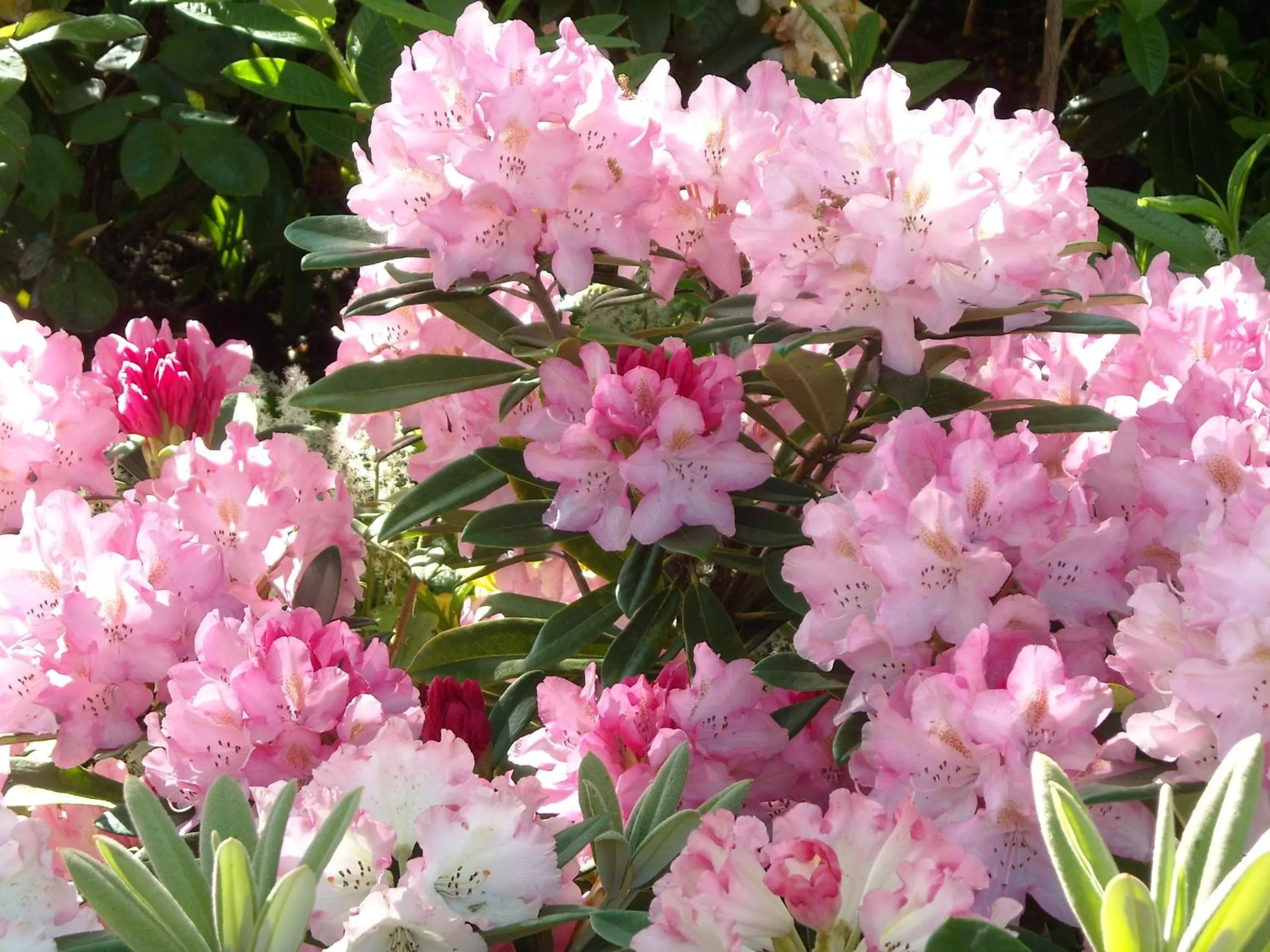 On site in City Centre Motel