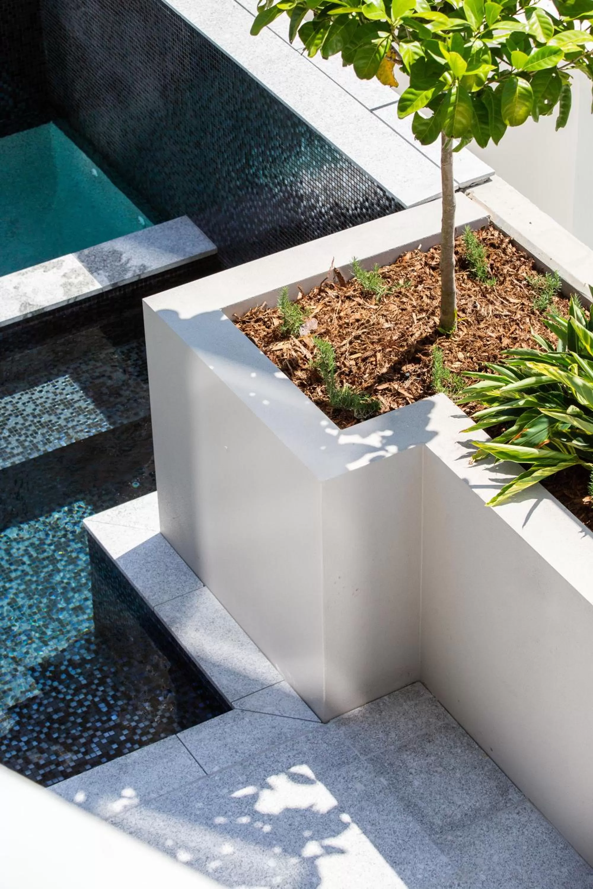 Swimming pool in Vue Broadbeach - Official