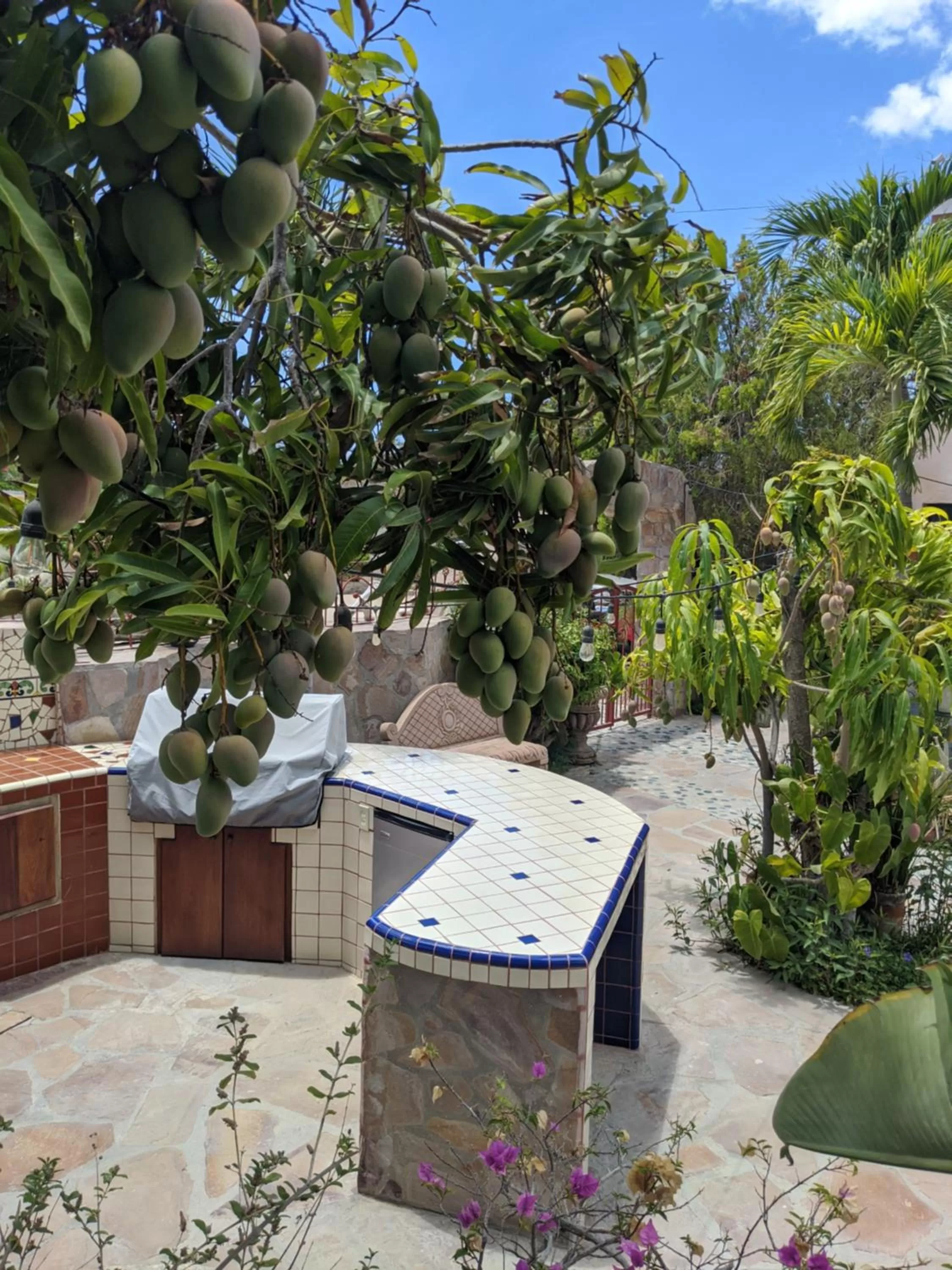 BBQ facilities in Hacienda De Palmas