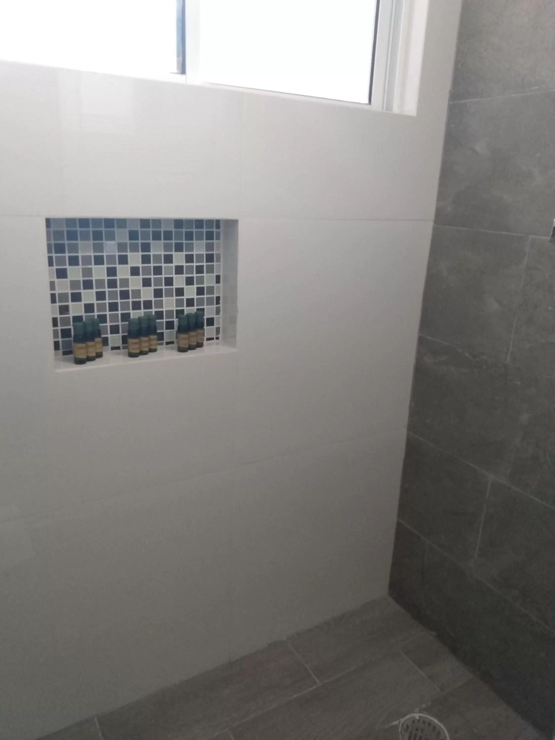 Shower in EXECUTIROOMS VERACRUZ