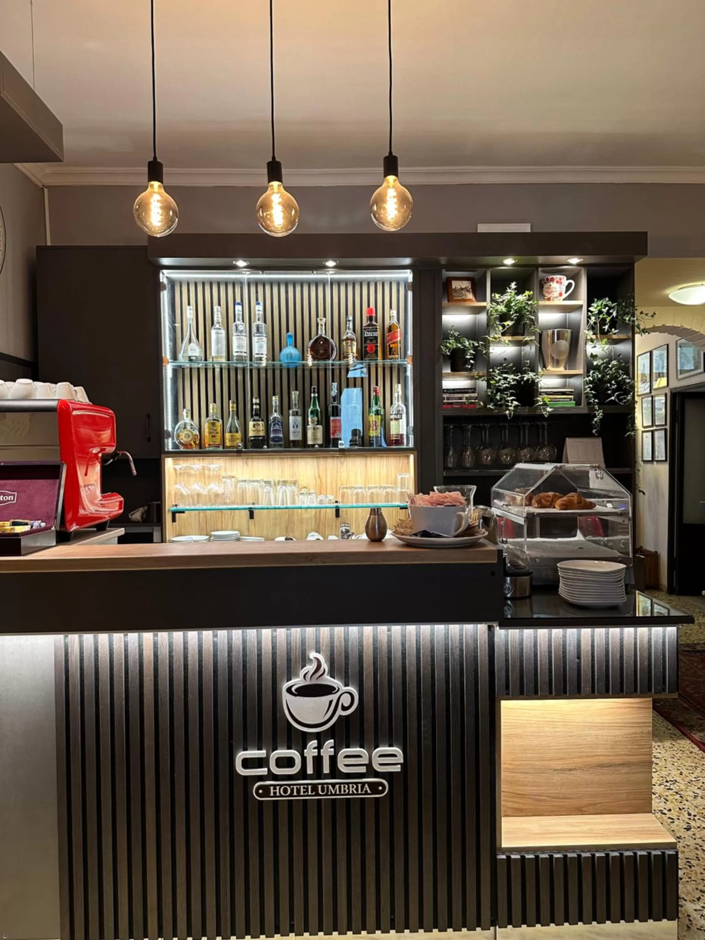 Lounge or bar in Hotel Umbria