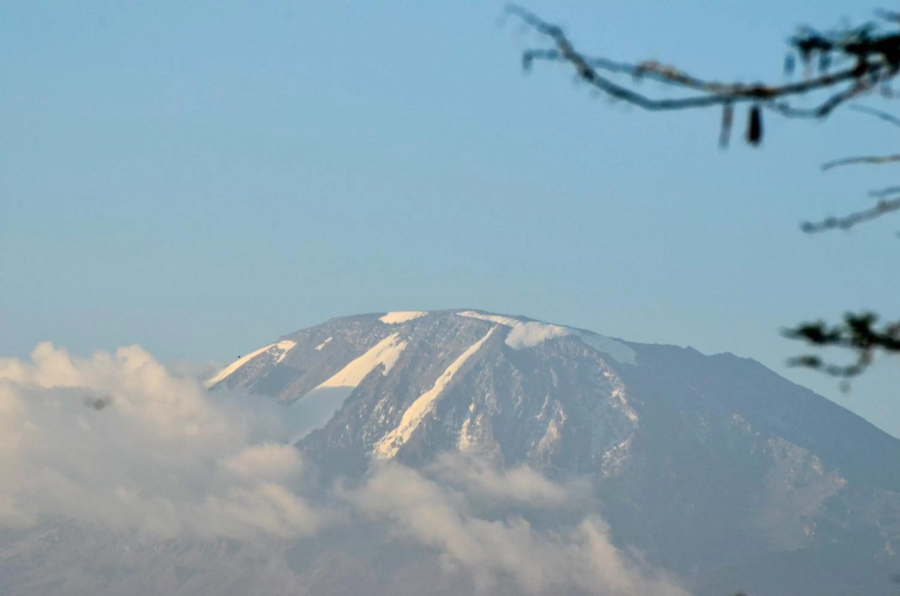 Mountain view, Winter in Bristol Cottages Kilimanjaro