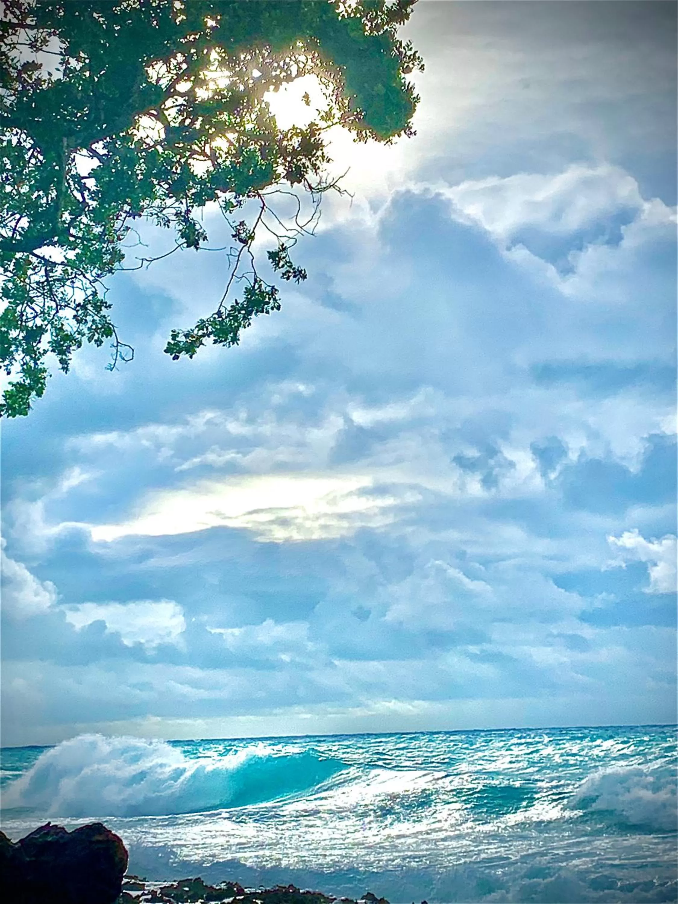 Day in In Di House of Reggae Boutique