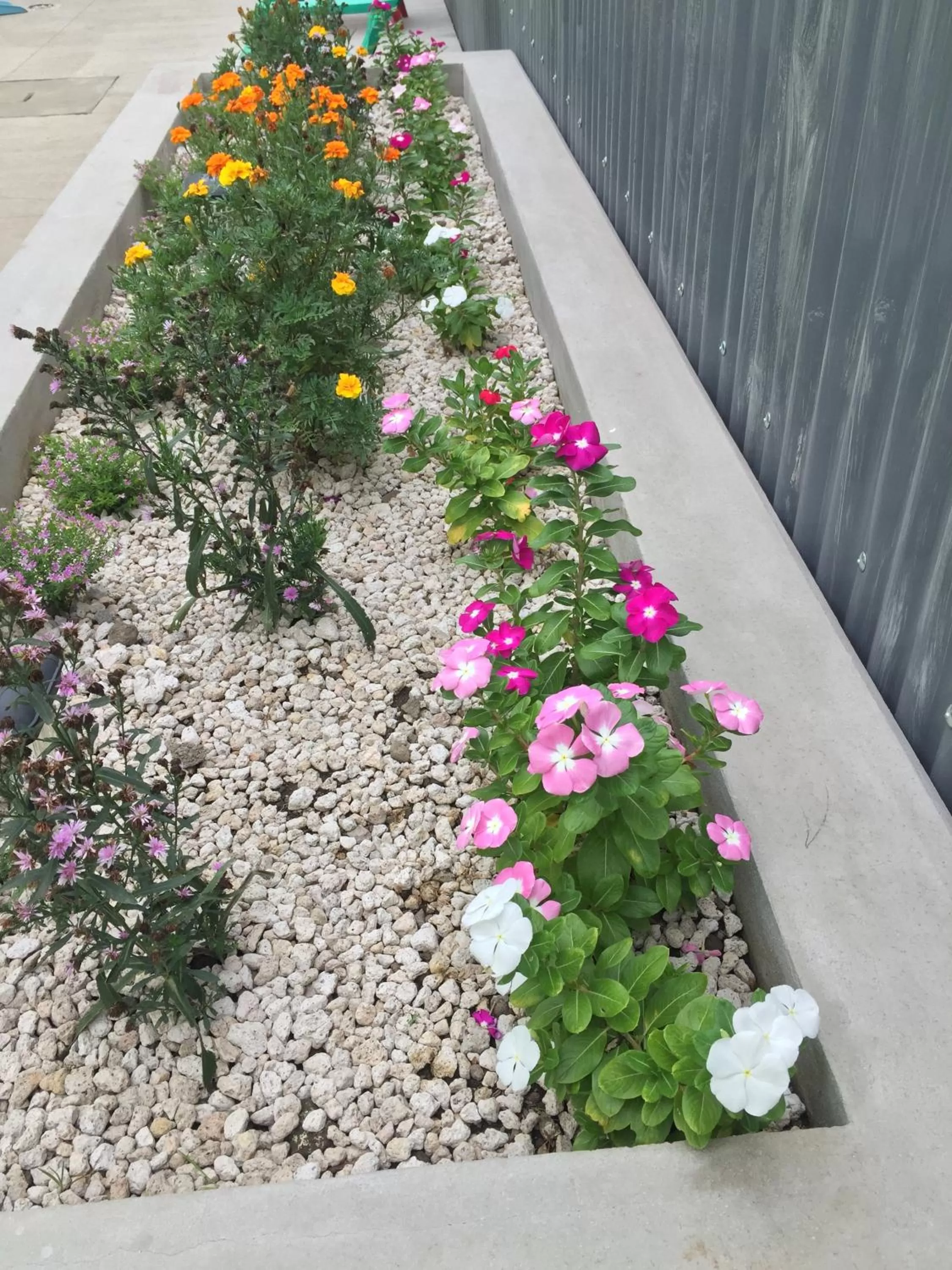 Decorative detail, Garden in Airport X Managua