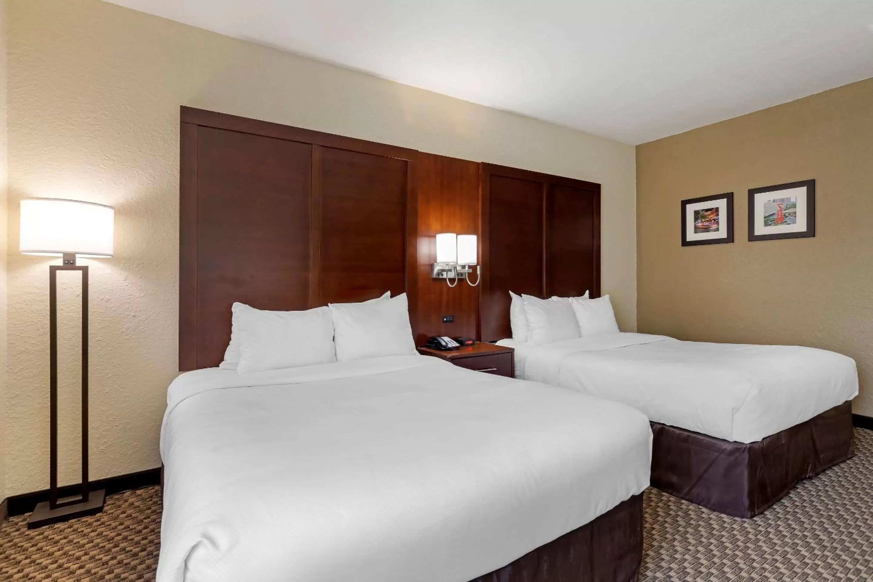 Photo of the whole room, Bed in Comfort Inn & Suites Near Six Flags & Medical Center