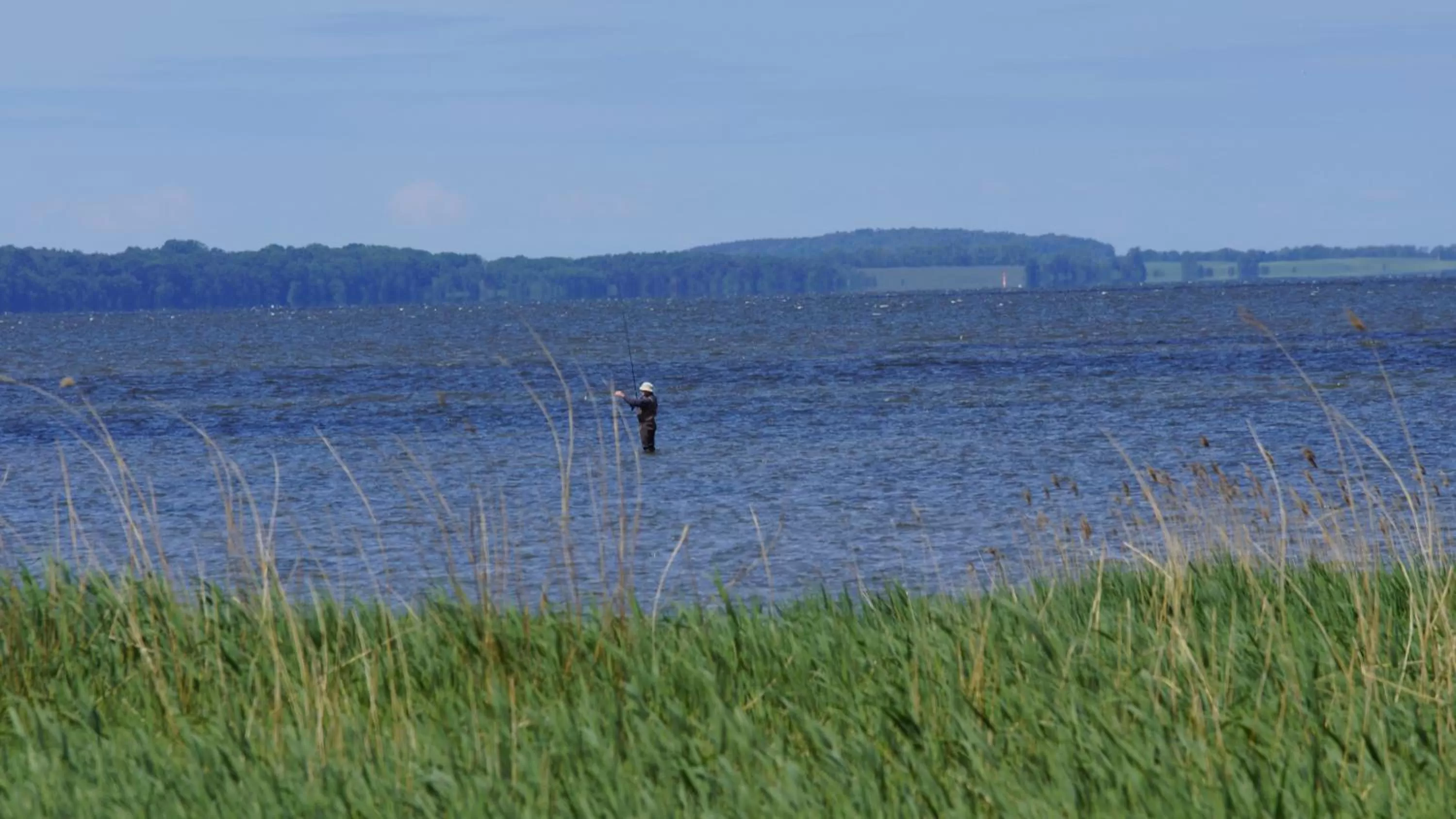 Natural landscape in Hotel Am Markt