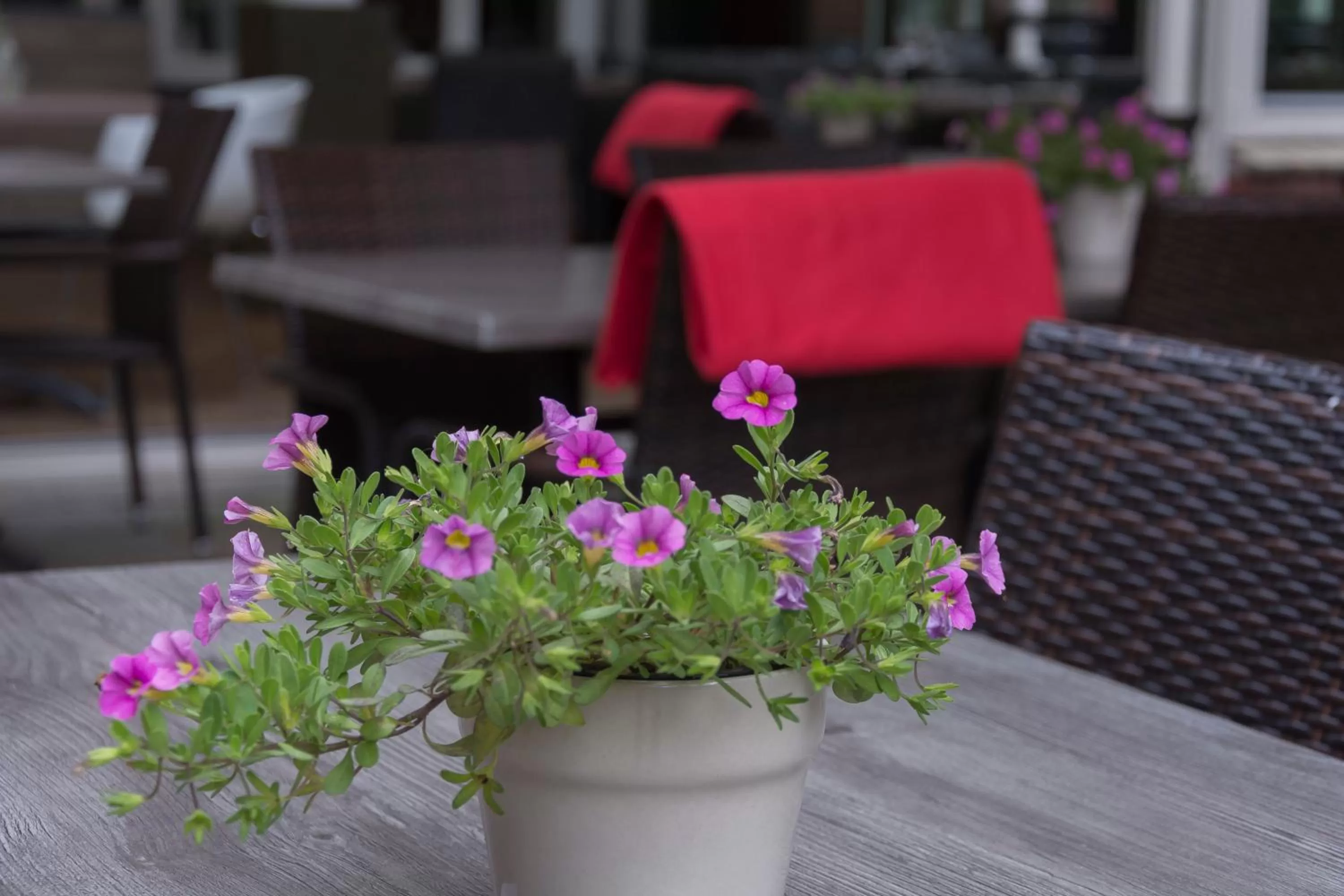 Patio in Hotel & Restaurant Wildthout