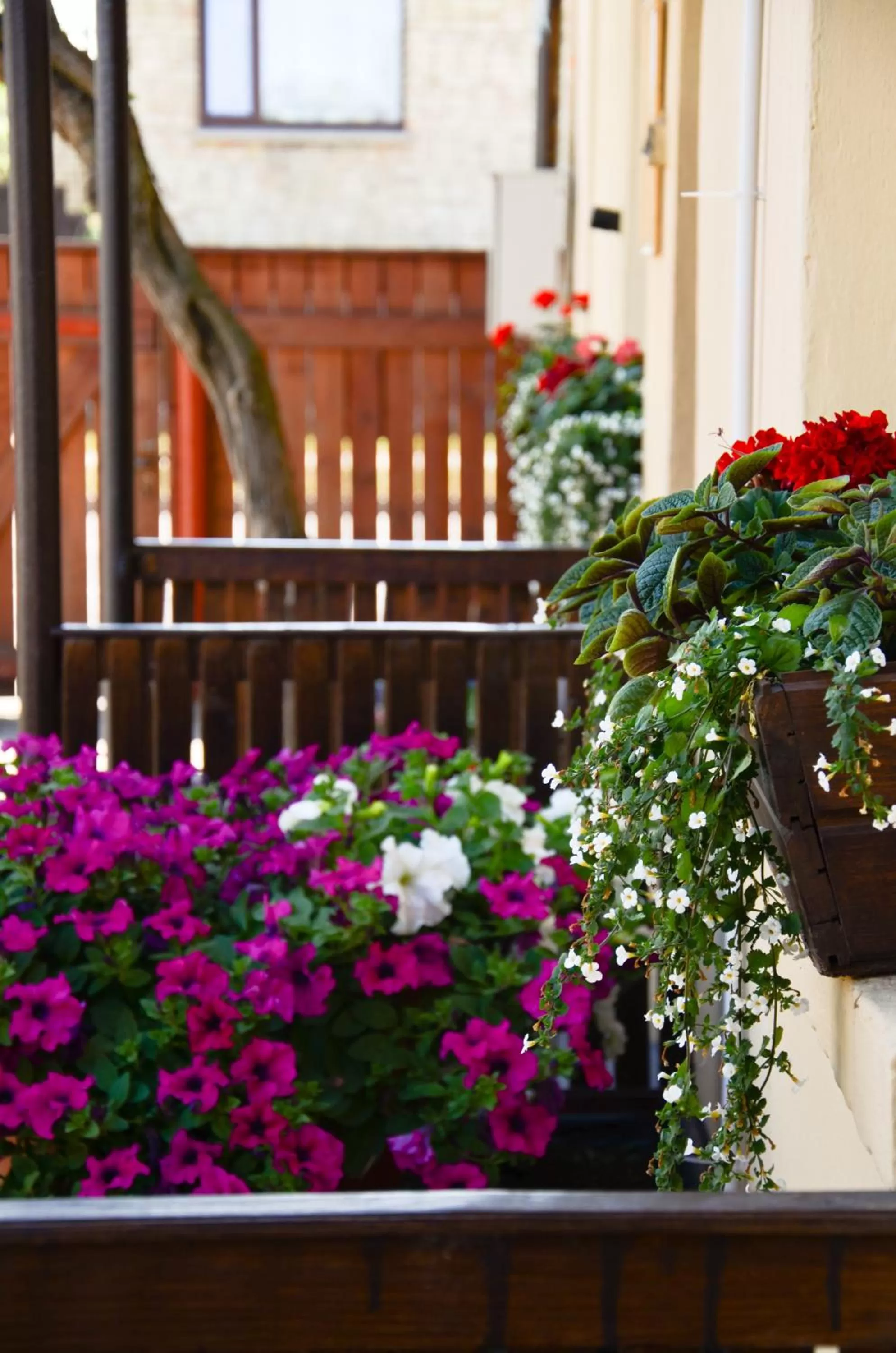 Garden in Veldzes Nams