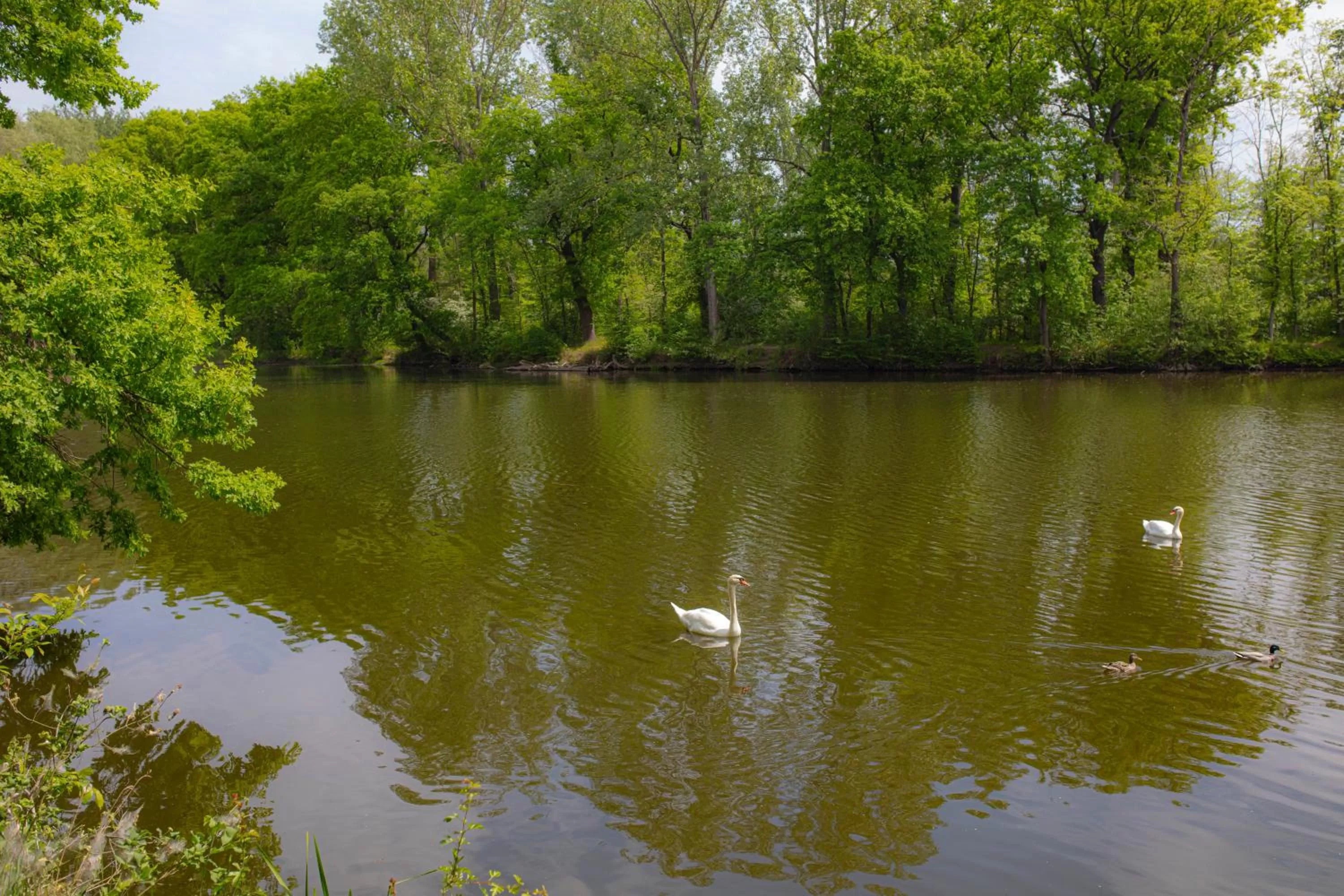 Fishing in SL'otel im Parforcehaus