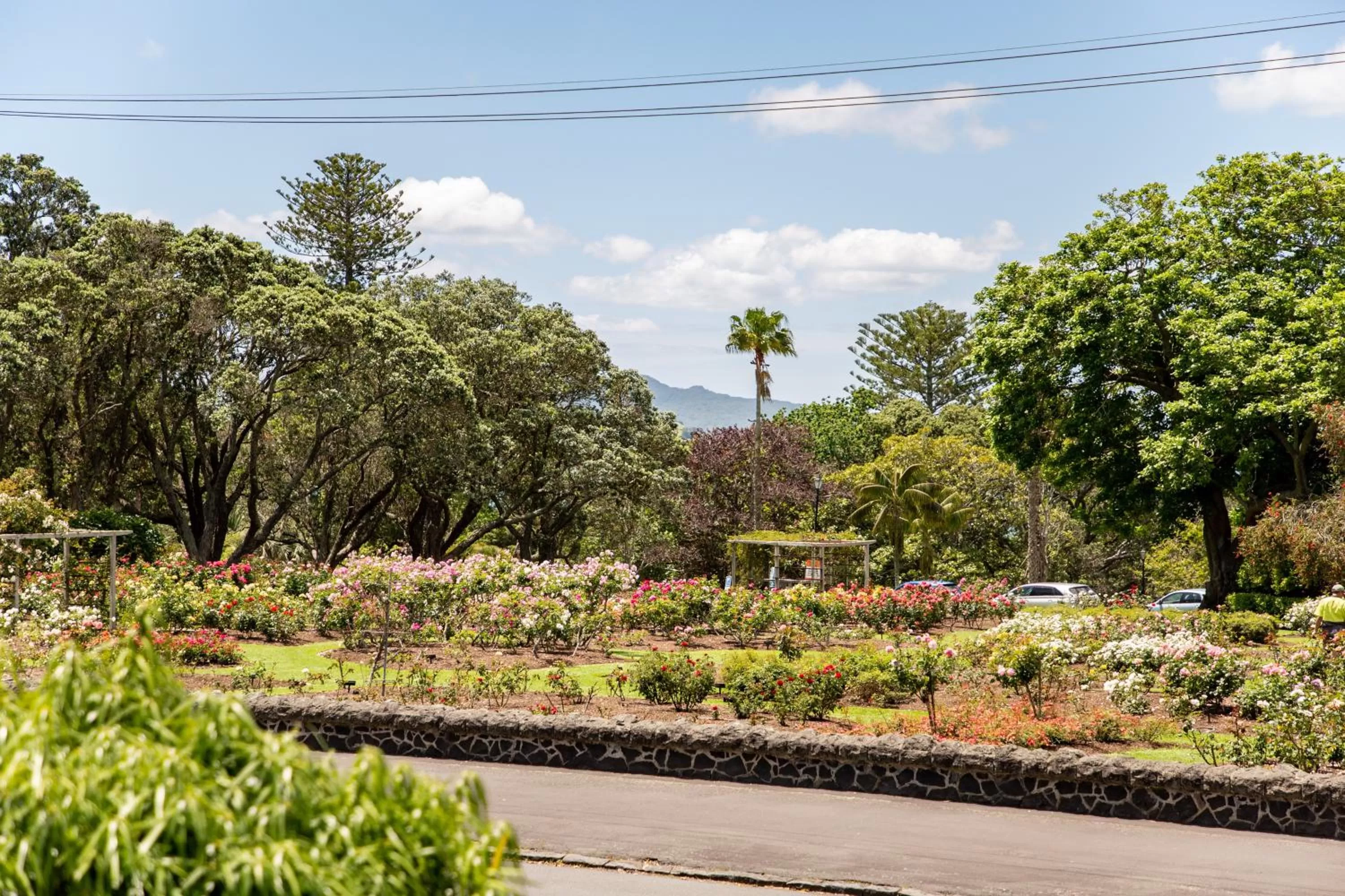 Restaurant/places to eat in Auckland Rose Park Hotel