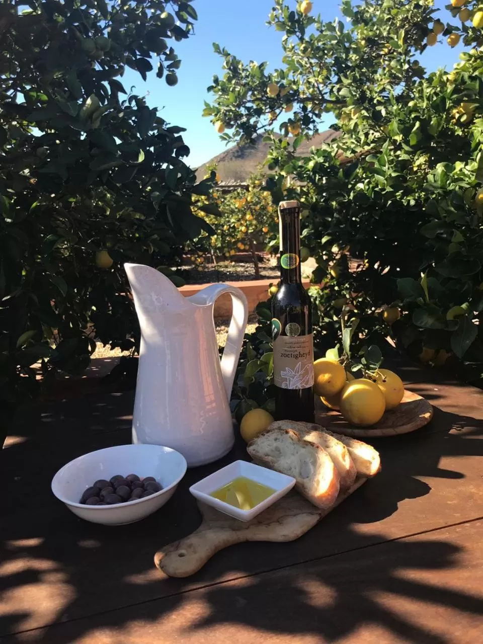 Garden in Olive Hill Guest House