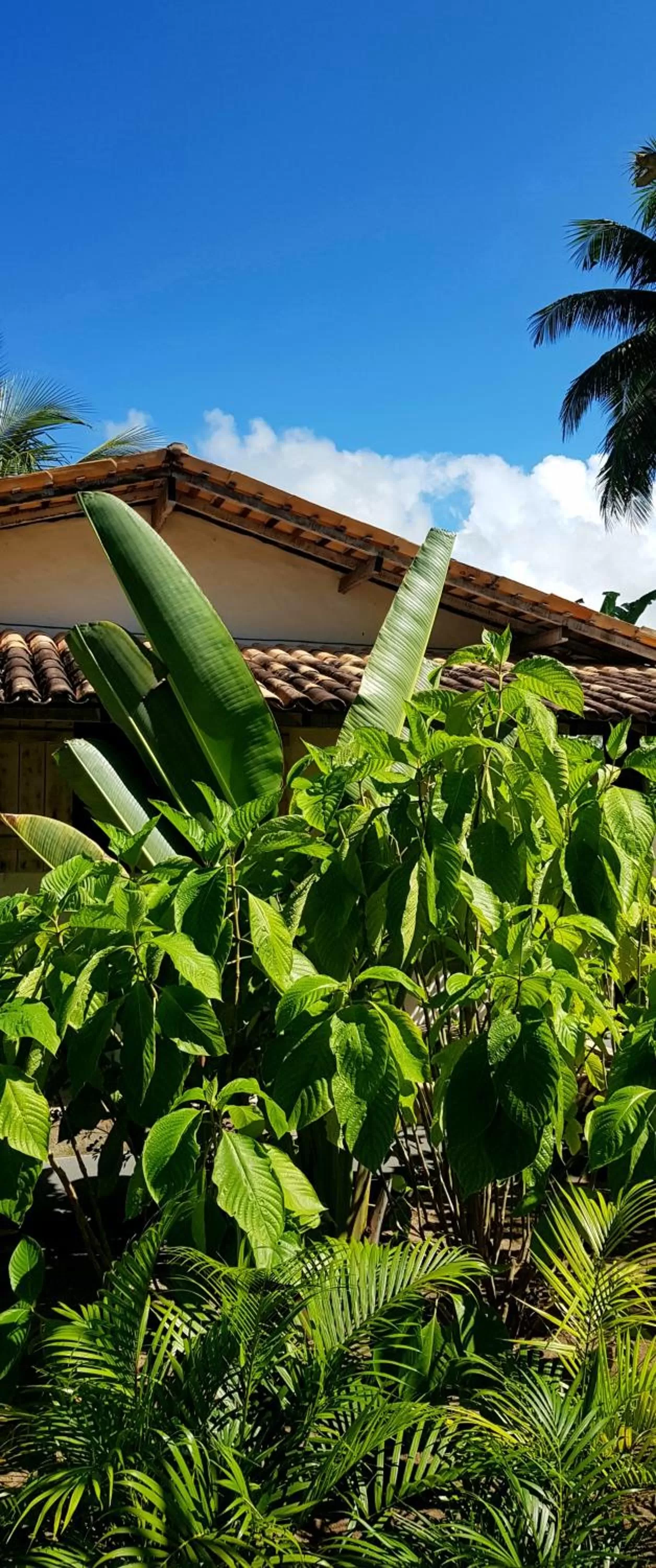 Garden, Property Building in Pousada Villages Boutique Hotel