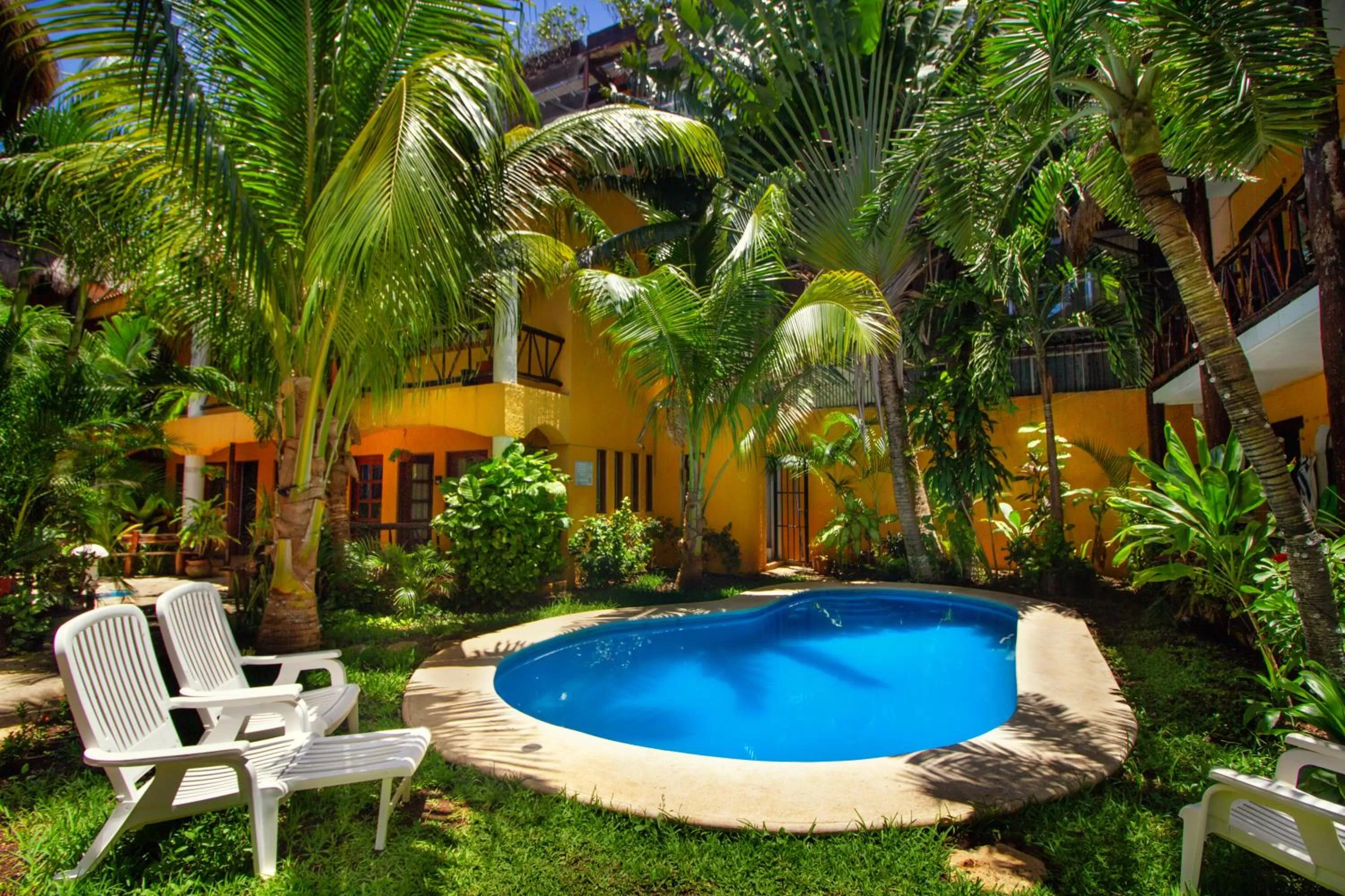 Garden in Hotel Bosque Caribe, 5th Av. zone