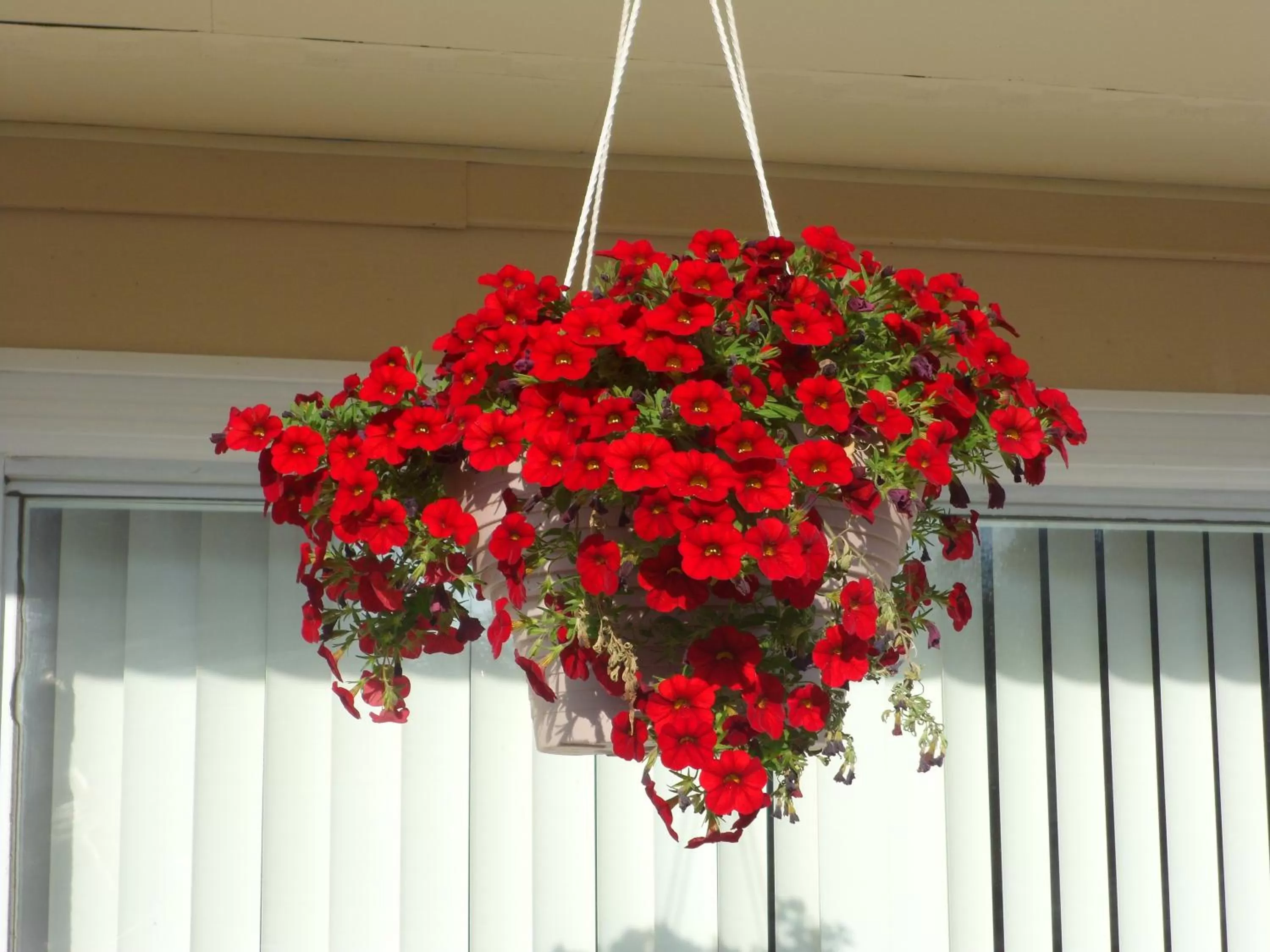 Decorative detail in The Silver Birch Motel