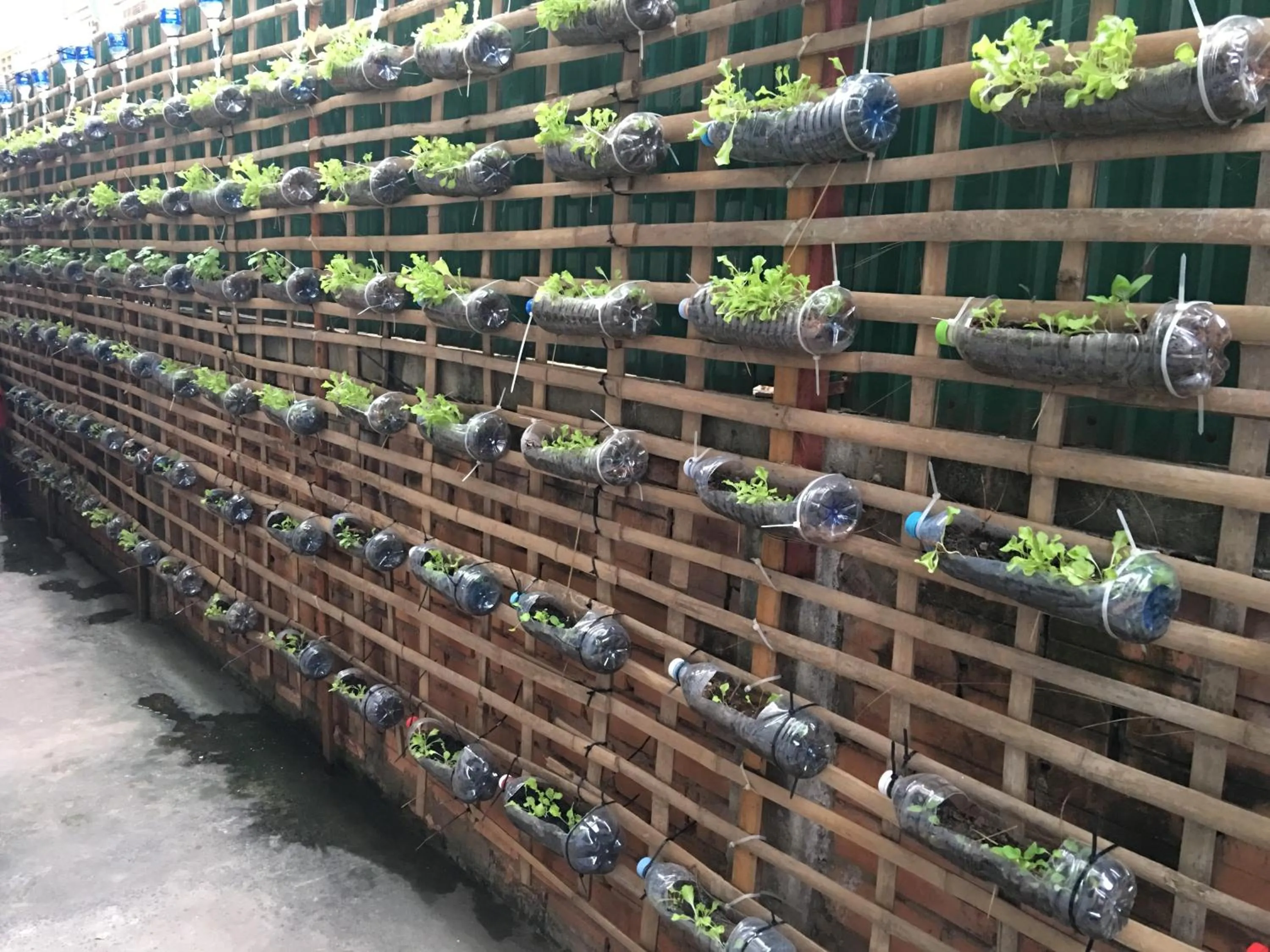 Garden view in King Boutique Hotel