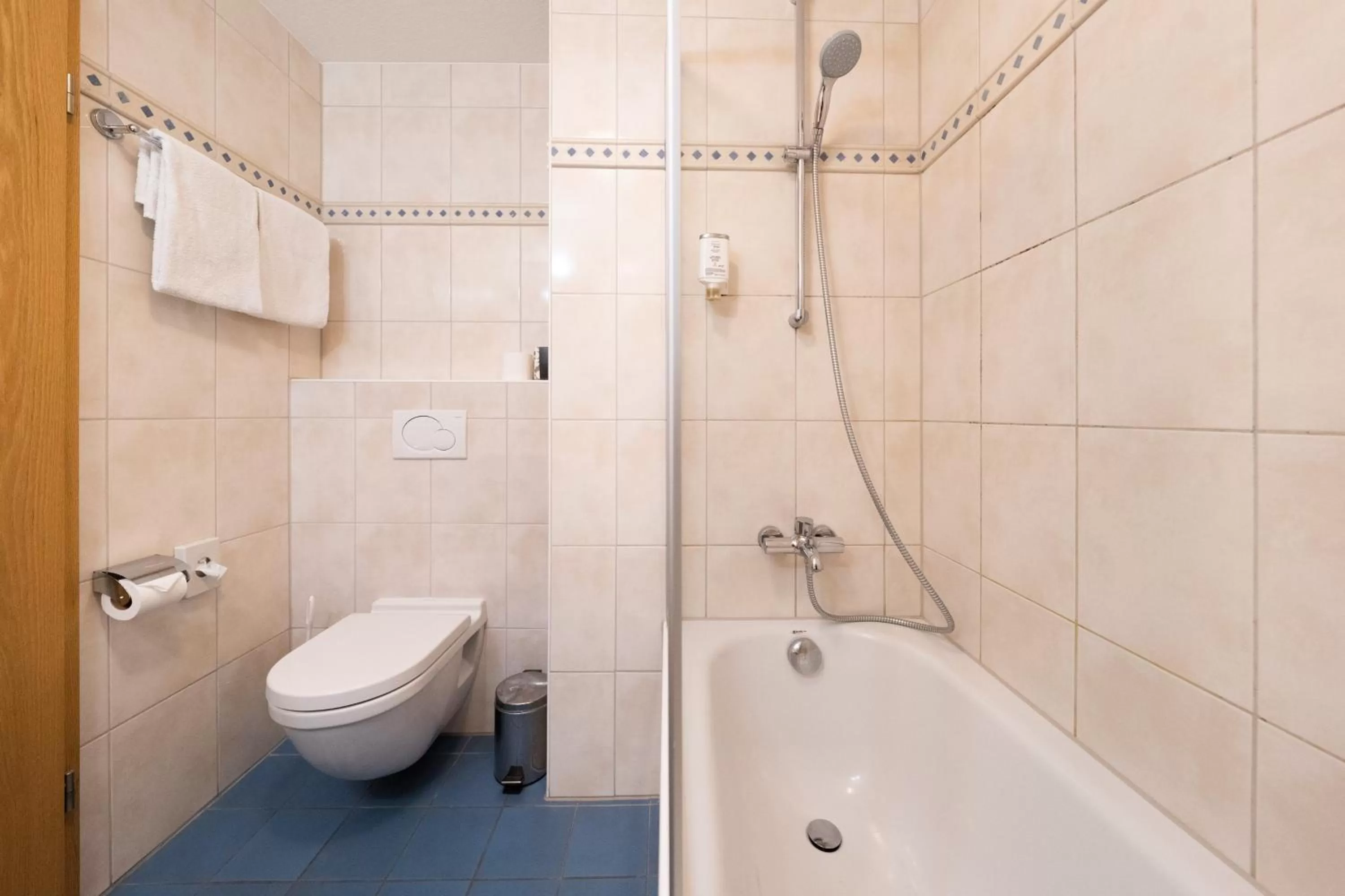 Toilet in ates Hotel Kehl