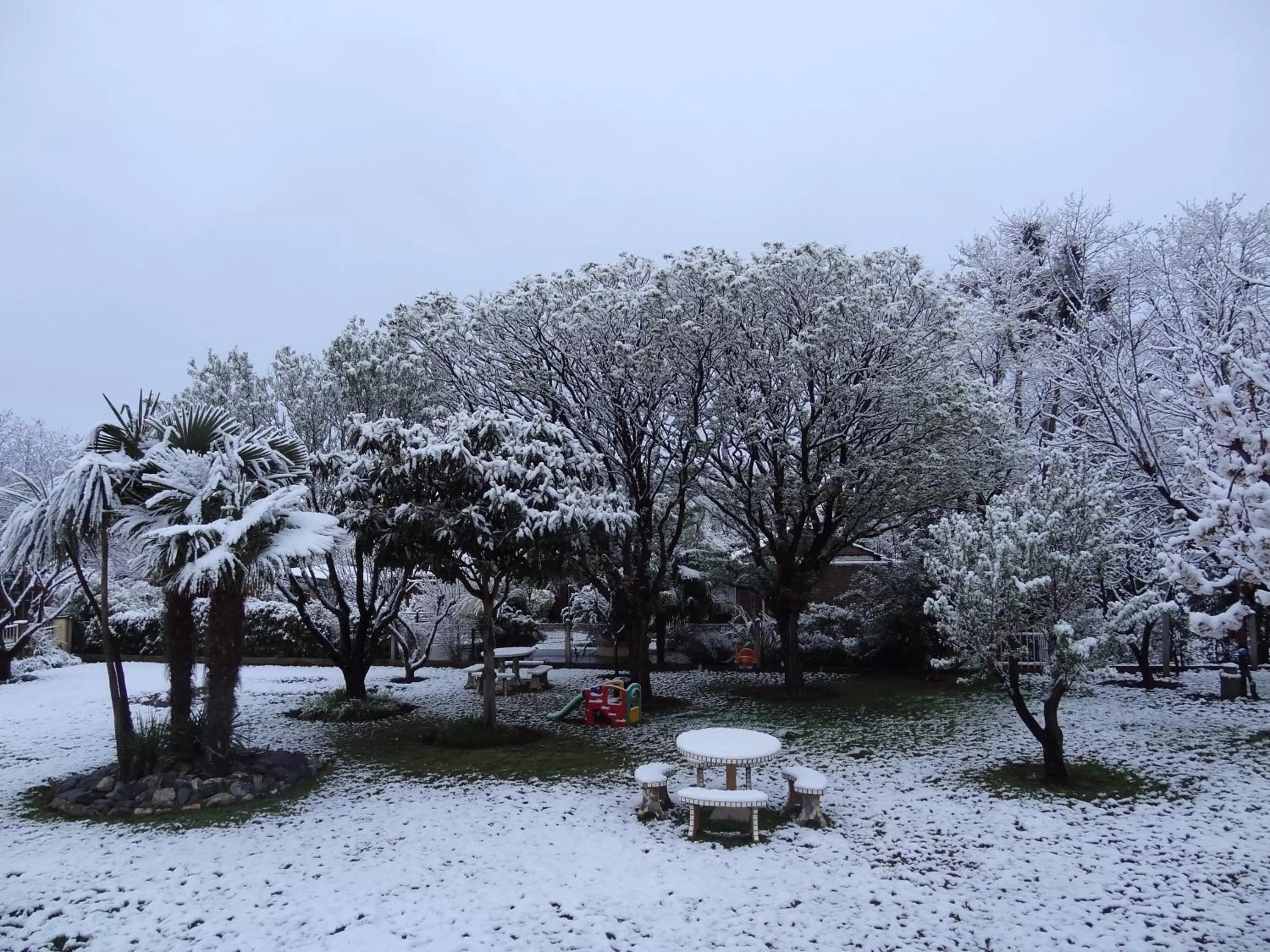 Garden in Hostería Lida