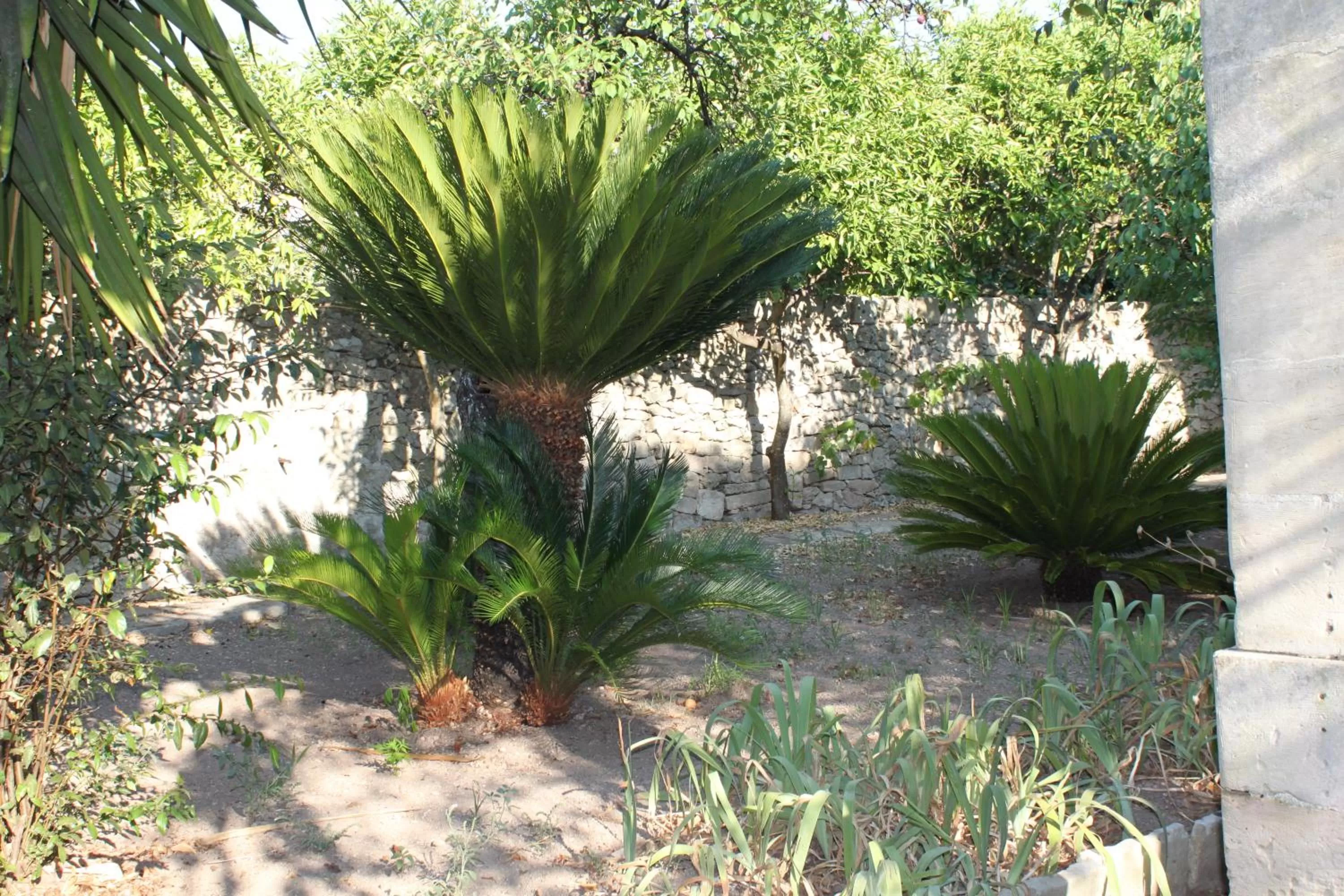 Garden in Dimora Storica ''Casa Sicuro''