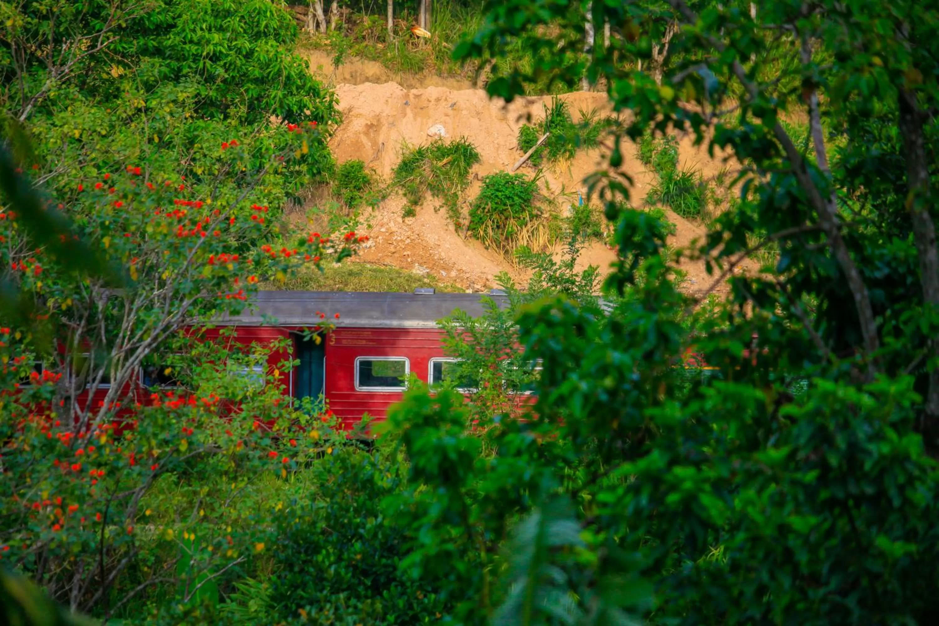 Property building in Madushanka Resort