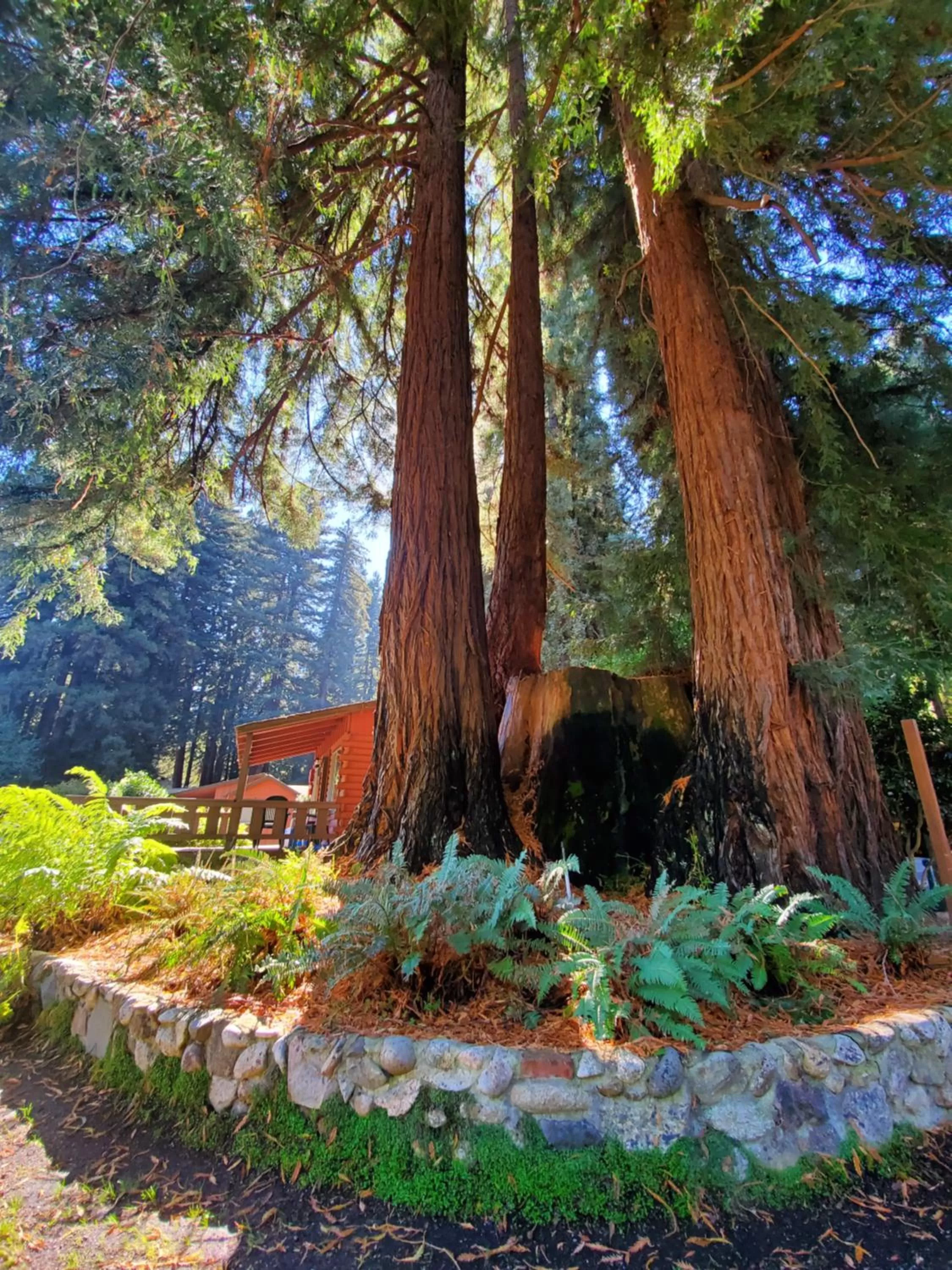 Garden view in Fern River Resort