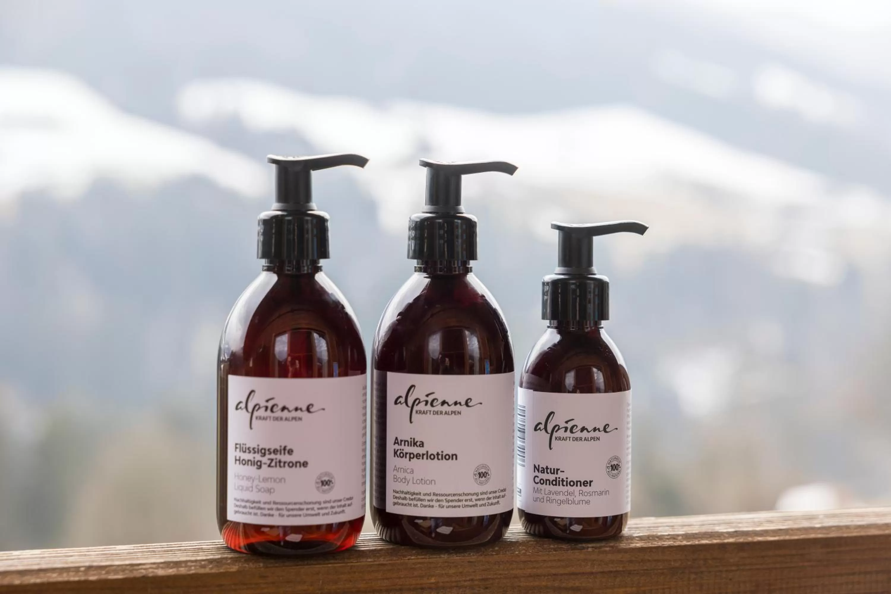 Decorative detail in Natur & Spa Resort "Der Alpbacherhof" Superior