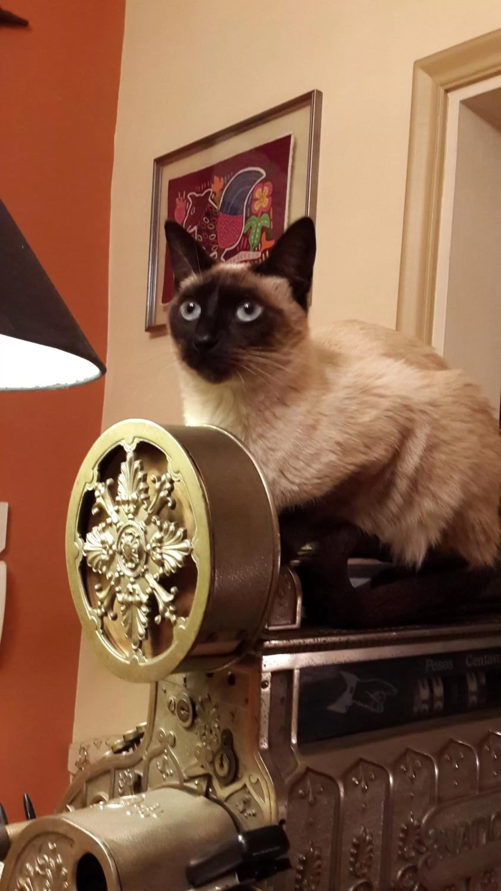 Lobby or reception in Villa Floreal Hotel Boutique