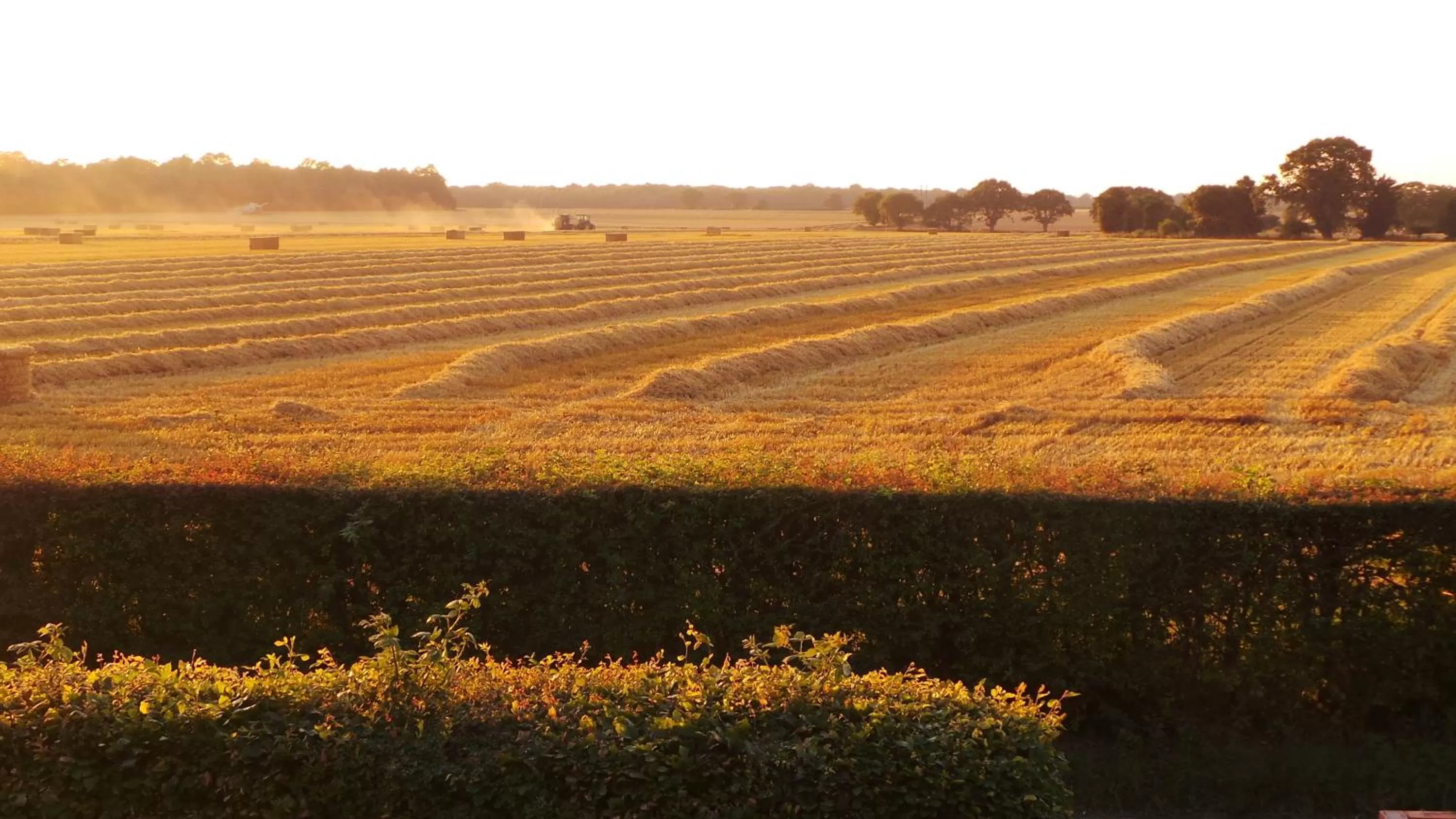 View (from property/room) in Chimneys B&B