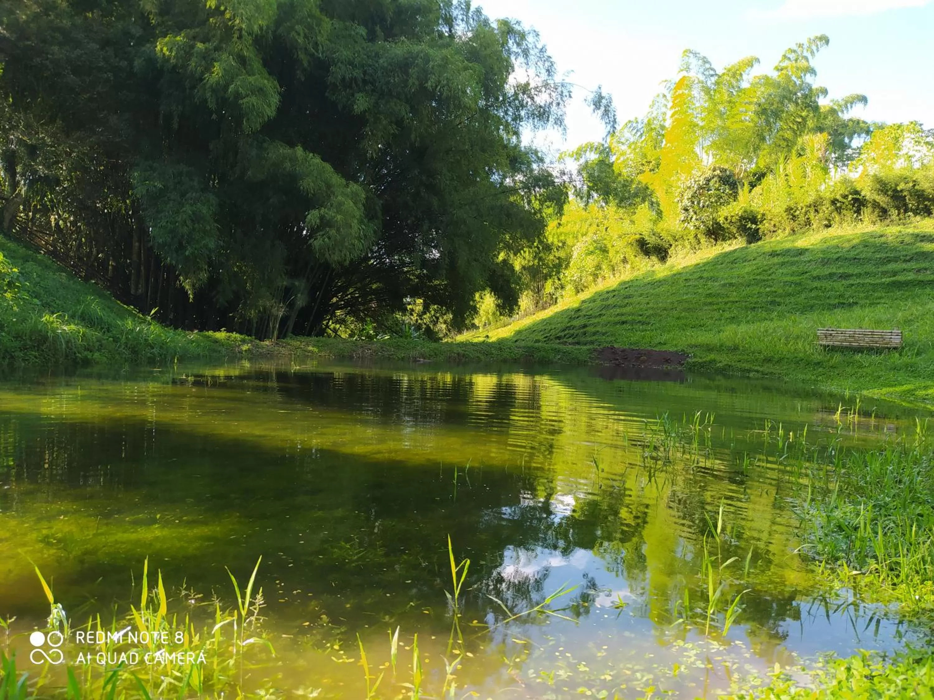 Natural landscape in Villa Cristina - Casa Boutique